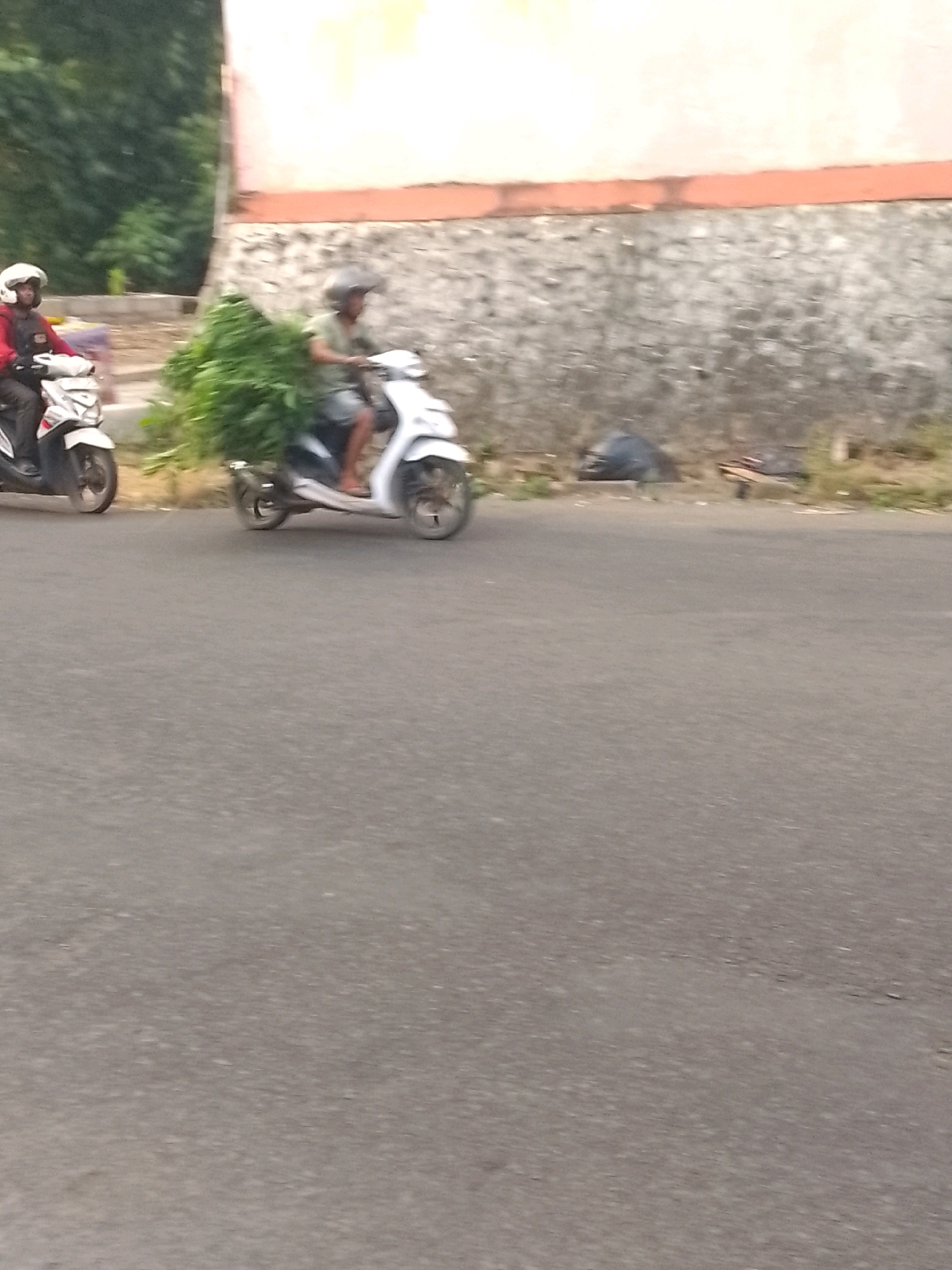 Two individuals are riding motorcycles on an asphalt road in Sukorambi, Indonesia. The motorcycle on the left is white and ridden by a person wearing a red jacket and a white helmet. The motorcycle on the right is also white and is being ridden by a person wearing a light green shirt and a dark helmet, carrying a large bundle of green foliage. Behind the motorcycles, there is a textured, light-colored wall with an orange trim and some greenery on the left side. In the background, to the right of the wall, there is a dark plastic bag and other debris on the ground.