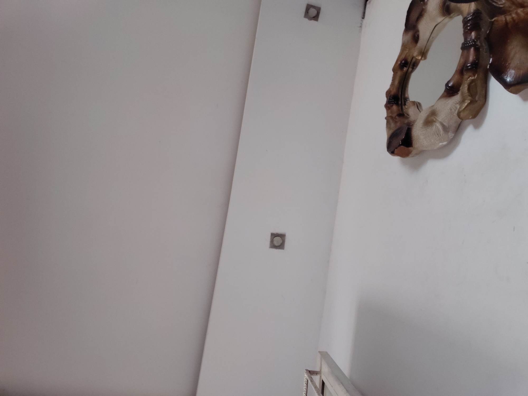 The image displays an interior scene, likely within a building in Santa Ana, Venezuela, dominated by light-colored walls. On the left side, a plain, off-white wall with subtle texture occupies a large portion of the frame. A vertical architectural feature, possibly a column or a beam, runs down the middle, also painted in a light hue. This feature hosts two square-shaped, flush-mounted light fixtures, one visible towards the top and another midway down.
To the right, mounted on a wall, is an ornate decorative object. This object appears to be a mirror or a stylized wall carving shaped like an animal's head, possibly a horse or deer. It features a rich, textured design with shades of brown, beige, and darker, almost scorched-looking accents, suggesting a rustic or carved material. A reflective surface, presumably a mirror, is integrated into its design.
A light-colored railing, likely made of metal or painted wood, is partially visible in the bottom right corner of the frame. The lighting suggests a well-lit indoor environment, but the specific time of day or light source is not discernible. No people are present, and no activities are taking place. There is no visible text.