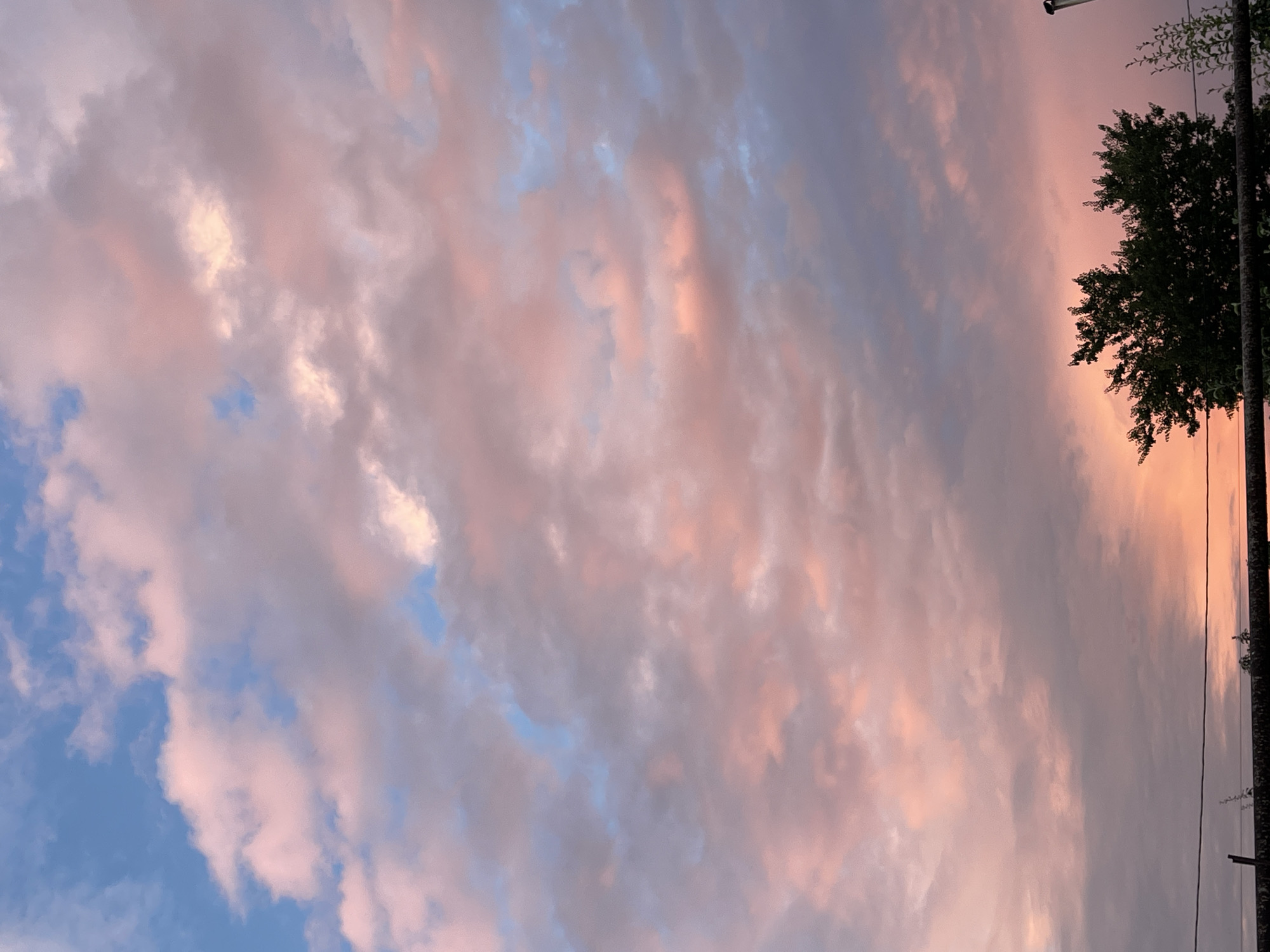 This is an outdoor, close-up, vertical, eye-level shot of a sunset over the city of Sredny, Russia. The sky is filled with clouds that are tinged with pink and orange, with patches of blue visible in between. In the foreground, there is a silhouette of a tree and some vegetation. There is a wire in front of the vegetation.