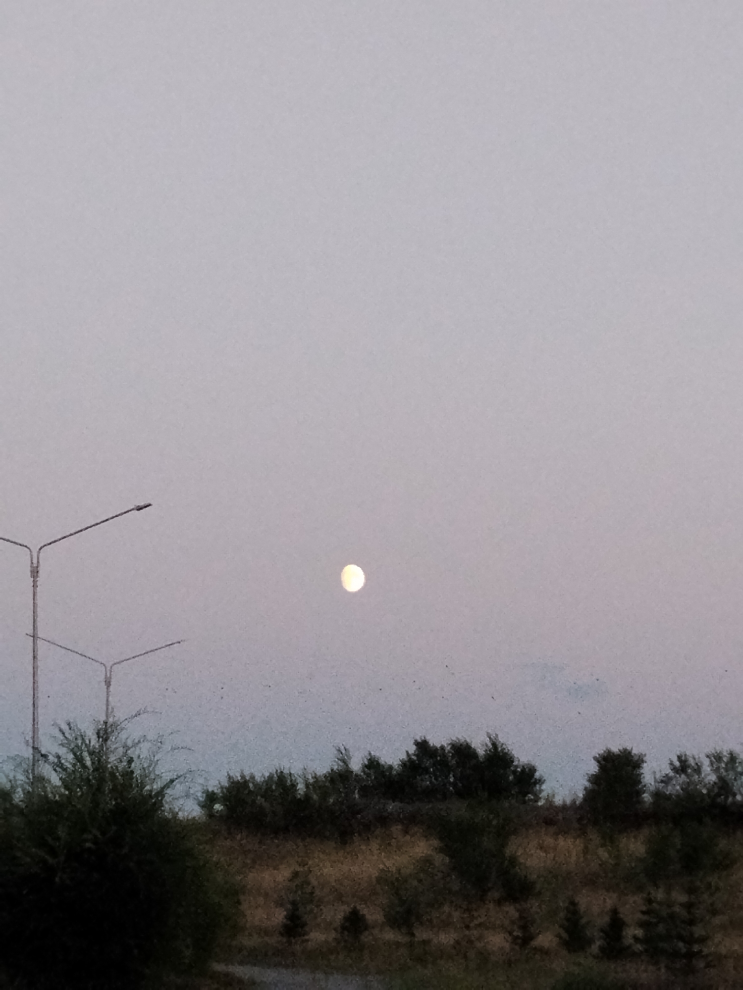 This is a photograph of a rural landscape at dusk. In the distance, the moon is visible as a bright, circular orb against a pale gray sky. Two streetlights stand tall in the left portion of the image, their poles extending upwards. The foreground is dominated by dark green trees and brush, with a patch of dry, yellowish grass on a slight incline behind them. The overall impression is of a quiet, unpopulated area, likely on the outskirts of a city. The image has a slightly grainy quality, suggesting it was taken with a mobile phone camera in low light conditions. The photograph could have been taken in Kokshetau, Kazakhstan, given its rural character and potential for such landscapes.