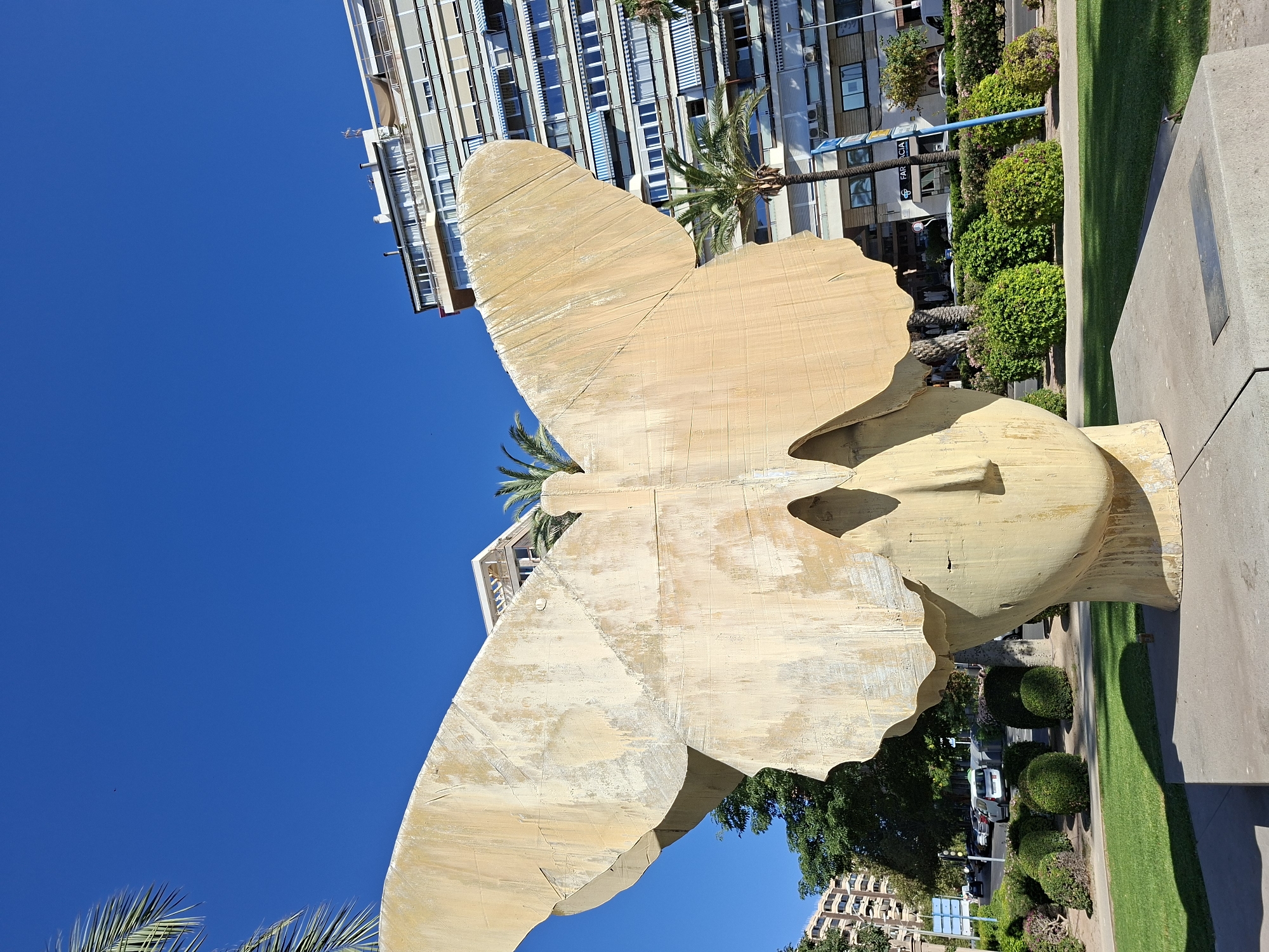 A large, light yellow, abstract sculpture of a human head with butterfly wings is the central focus of the image, set against a clear blue sky. The sculpture is made of a rough-textured material, possibly concrete or stone, and shows signs of weathering. The butterfly wings are positioned above the head, with their edges curving downwards. The head is stylized, with a simple facial structure.
The sculpture is situated in a well-maintained outdoor area with green grass in the foreground and meticulously trimmed bushes and hedges lining a pathway behind it. A street with a few parked cars and some traffic is visible in the background, along with several multi-story buildings. One building, in particular, is prominent, featuring numerous balconies with striped awnings. Palm trees are interspersed within the landscape, adding a tropical element. The scene appears to be a public space, likely a park or plaza, in a city.
This sculpture is located in the city of Alicante, Spain, specifically in the city center, near the Port of Alicante. It is part of the "Paseo de la Explanada de España," a well-known promenade in Alicante. The sculpture itself is called "La Mariposa" (The Butterfly) and is a popular landmark.