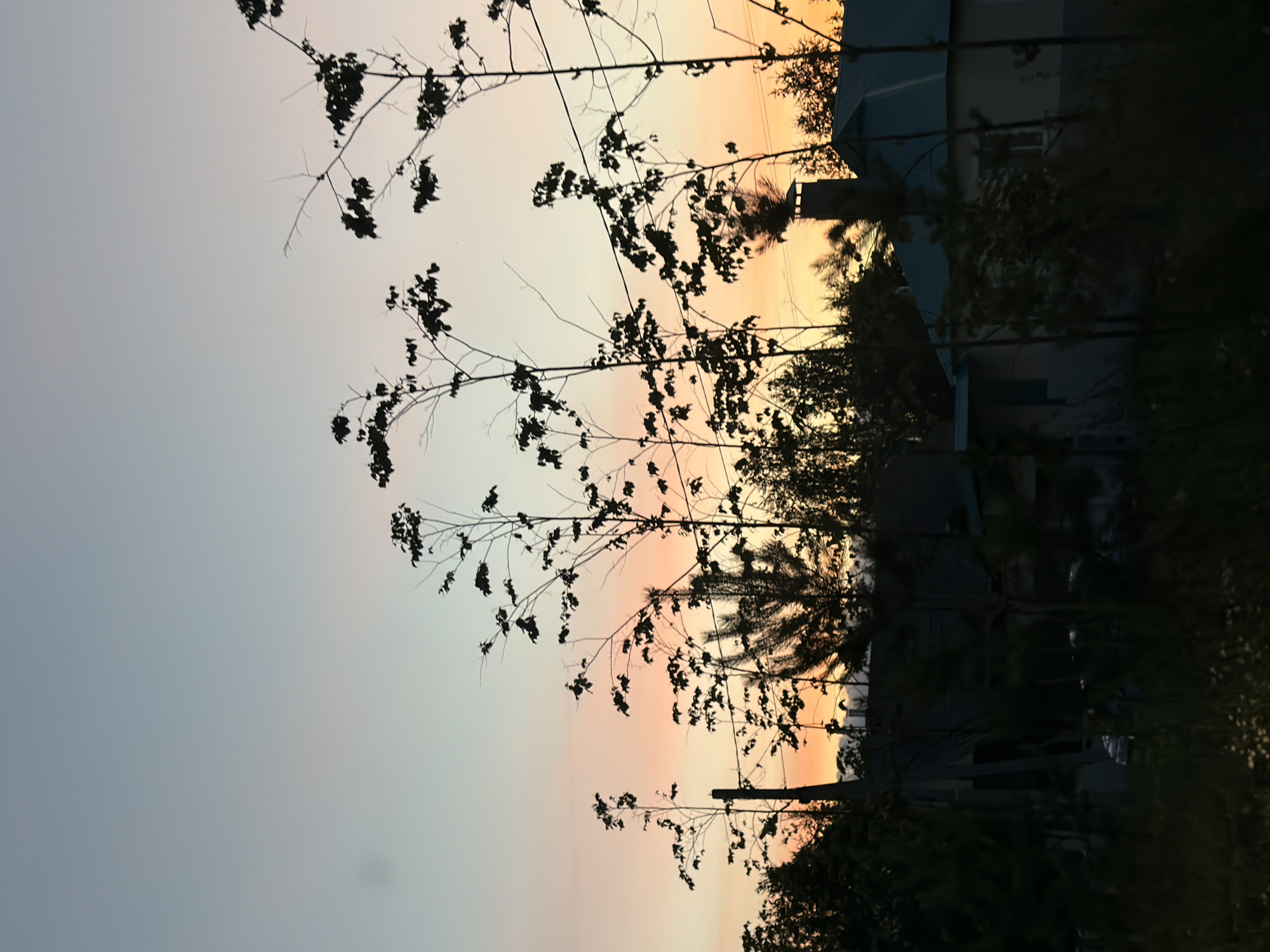 The image depicts a residential scene at dusk, likely in Kazan, Russia, characterized by a soft pastel sky transitioning from pale blue at the top to hues of pink and orange near the horizon. Silhouetted against this sky are several thin, bare tree branches with sparse leaves, and darker, denser foliage of evergreen trees. In the middle ground, the dark shapes of houses are visible. One house has a prominent green roof and a chimney. The foreground is filled with dark, shadowy vegetation, including small plants with white flowers. The overall impression is one of a quiet evening in a suburban or rural setting.