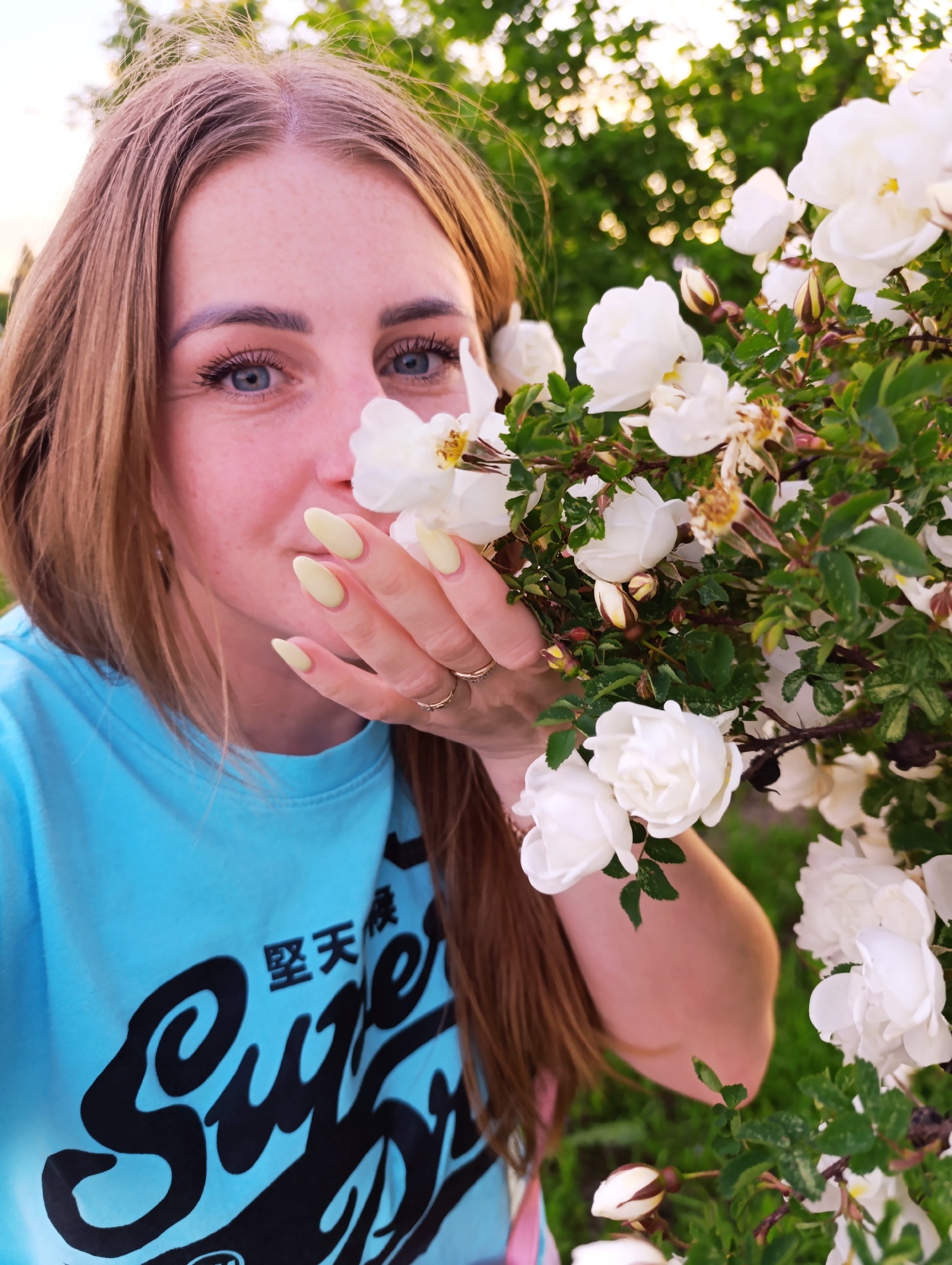 A close-up, natural-light portrait shows a woman engaging with a bush of white roses outdoors. The woman, positioned slightly to the left of the frame, has long, light brown hair parted down the middle and piercing blue eyes. She looks directly at the camera with a soft, pleasant expression.
She is wearing a light blue t-shirt with prominent black text; the word "Superdry" is visible in a stylized font, along with Japanese characters "堅天極" above it. Her left hand, adorned with gold-colored rings on her ring finger, holds a cluster of white roses near her face. Her fingernails are painted a distinctive pale yellow color and are shaped into a point.
The right side of the image is filled with the rose bush, featuring numerous white roses in various stages of bloom, from tight buds to fully open flowers. Some petals show signs of wilting, indicating the natural lifecycle of the flowers. Green leaves and thorny stems are also visible. The background is softly out-of-focus, showing green foliage from trees and bright, diffused sunlight, suggesting a late afternoon or early evening setting. The overall scene conveys a tranquil moment in a natural, garden-like environment.