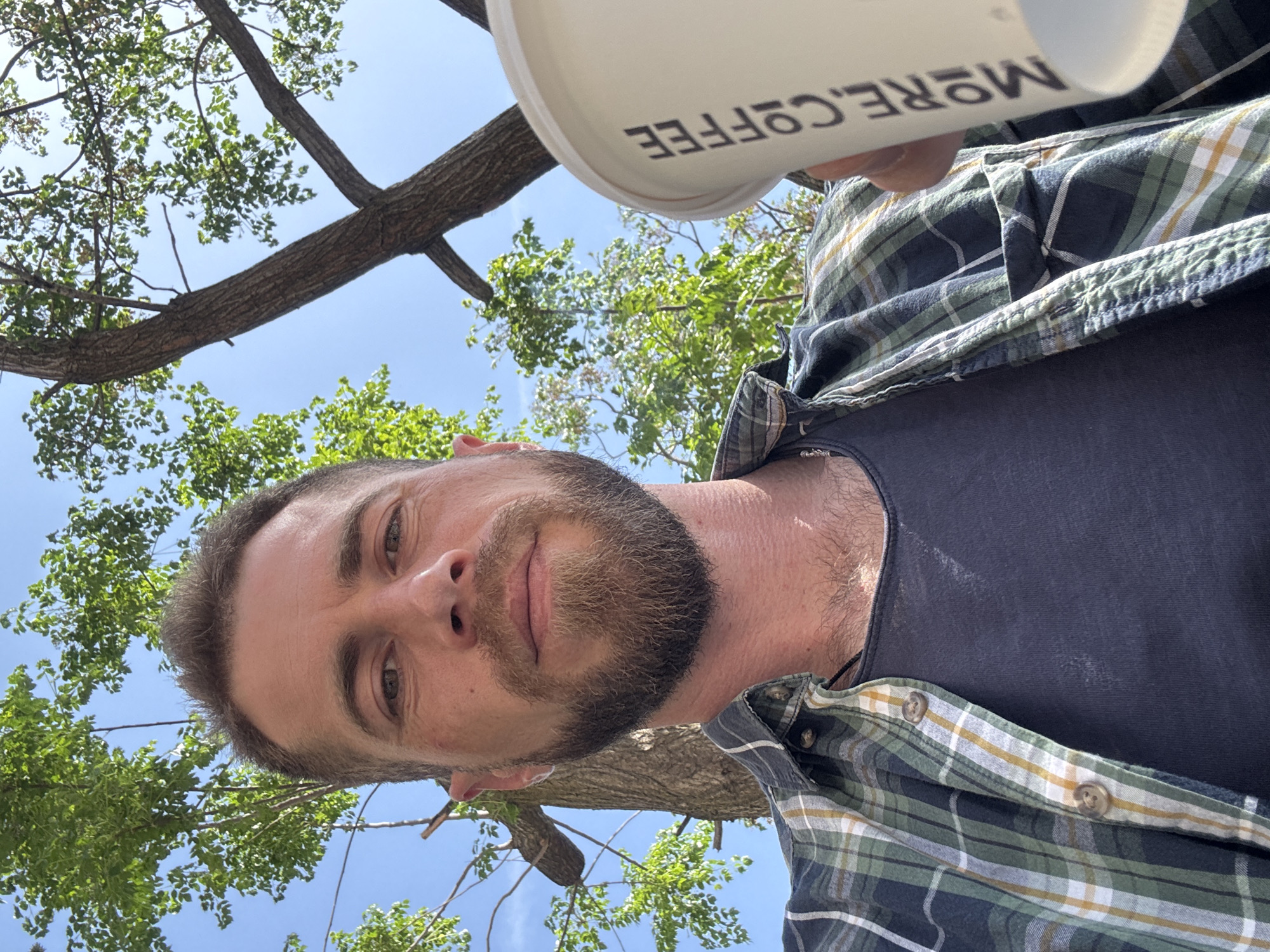 A low-angle, rotated selfie captures a man outdoors, likely in Budva, Montenegro, on a bright, sunny day. The man, with a neatly trimmed beard and short dark hair, looks directly at the camera with a neutral to slightly content expression. He wears a dark blue t-shirt underneath an open plaid shirt, which features a pattern of dark blue, green, yellow, and white checks.
He holds a white cup, partially visible in the upper right, bearing black text. The text appears upside down and reversed as "EEFFOC .EROM", which when correctly oriented and read, says "MORE COFFEE".
The background reveals a clear blue sky seen through the canopy of trees with green leaves and distinct branches, suggesting an outdoor, natural environment. The vivid green foliage and bright sky indicate daytime conditions. The image conveys a casual moment of the man enjoying a drink amidst nature.