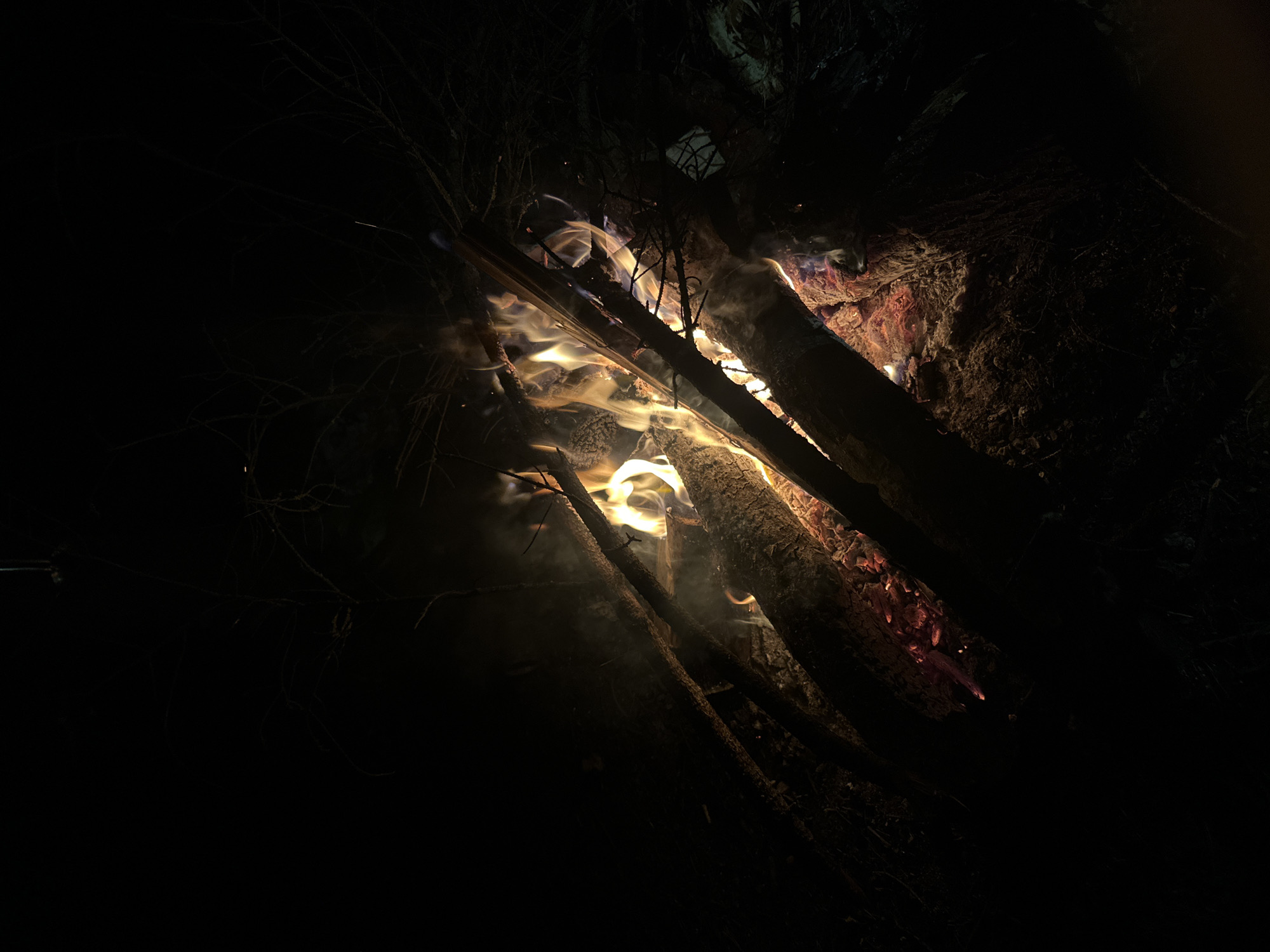 The image depicts a campfire at night. Several logs are arranged to create a fire pit, and flames are visible between the logs. Smoke rises from the burning wood. The surrounding environment is dark and obscured, with glimpses of branches and foliage. The image does not offer enough context to determine if the campfire is in Юзуфоўскі сельскі Савет, Belarus.