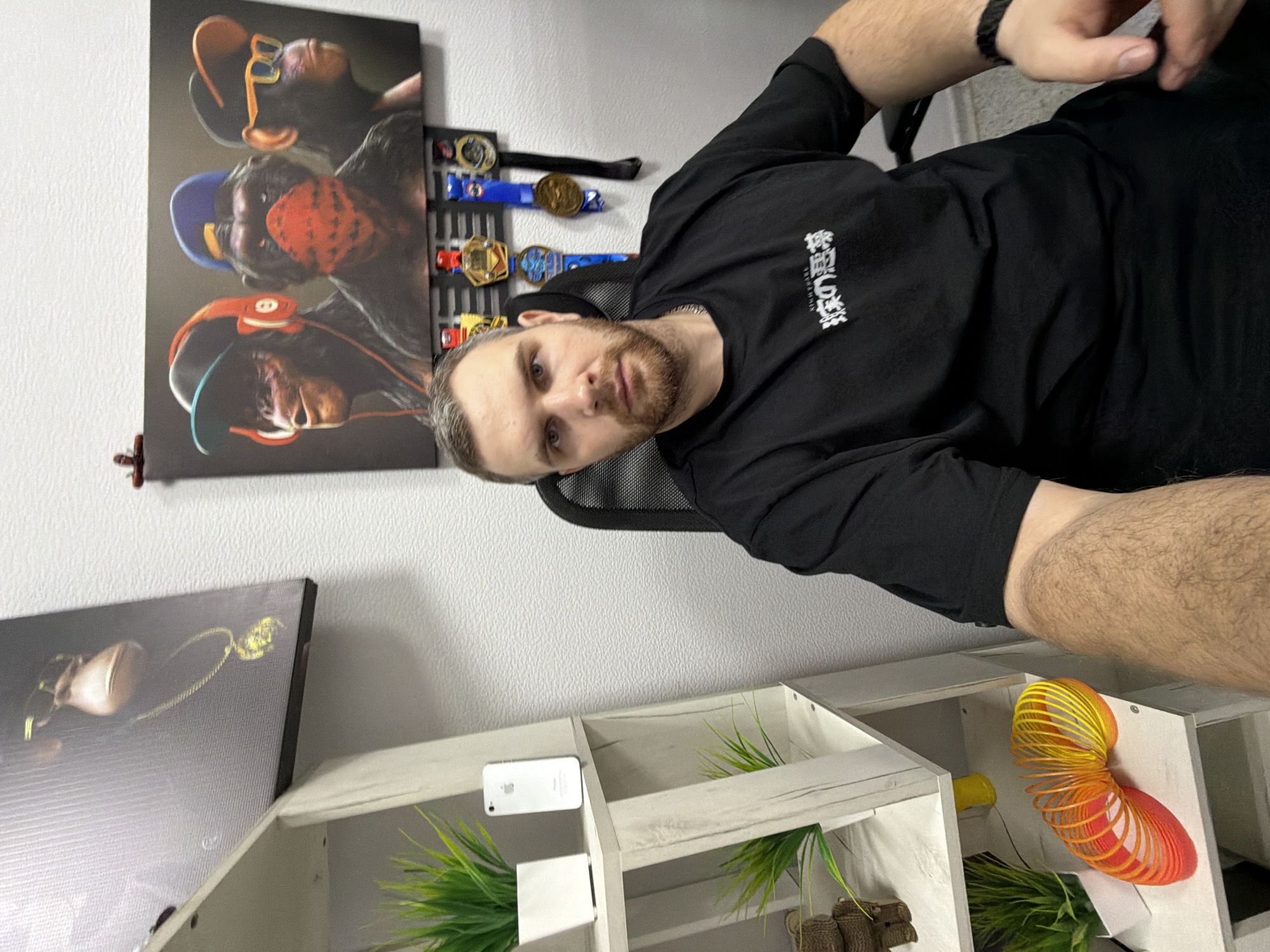 A male subject is depicted in what appears to be a home office or personal room, location Unknown, Unknown. The subject, a Caucasian male with short light brown hair, a reddish-brown beard, and light eyes, is positioned centrally, looking directly at the camera with a neutral expression. He wears a black short-sleeved t-shirt with white Japanese text and a silver chain necklace. A black bracelet is visible on his left wrist. He is seated in a black office chair with a mesh back.
The background features a textured white wall. To the subject's left, a light-colored wooden shelving unit holds three artificial green plants in white pots, a white smartphone (iPhone 4/4S model), a small brown woven figurine, and a multicolored plastic Slinky toy. Above the shelving unit, a canvas print shows a monkey with sunglasses and a gold chain. Behind the subject, a large canvas print depicts three cartoonish monkeys wearing hats, headphones, a bandana, and glasses. Below this artwork, a black rack displays four medals: two with blue ribbons, one with a red and yellow ribbon, and one with a black ribbon. The floor beneath the subject is a light-colored carpet or rug.