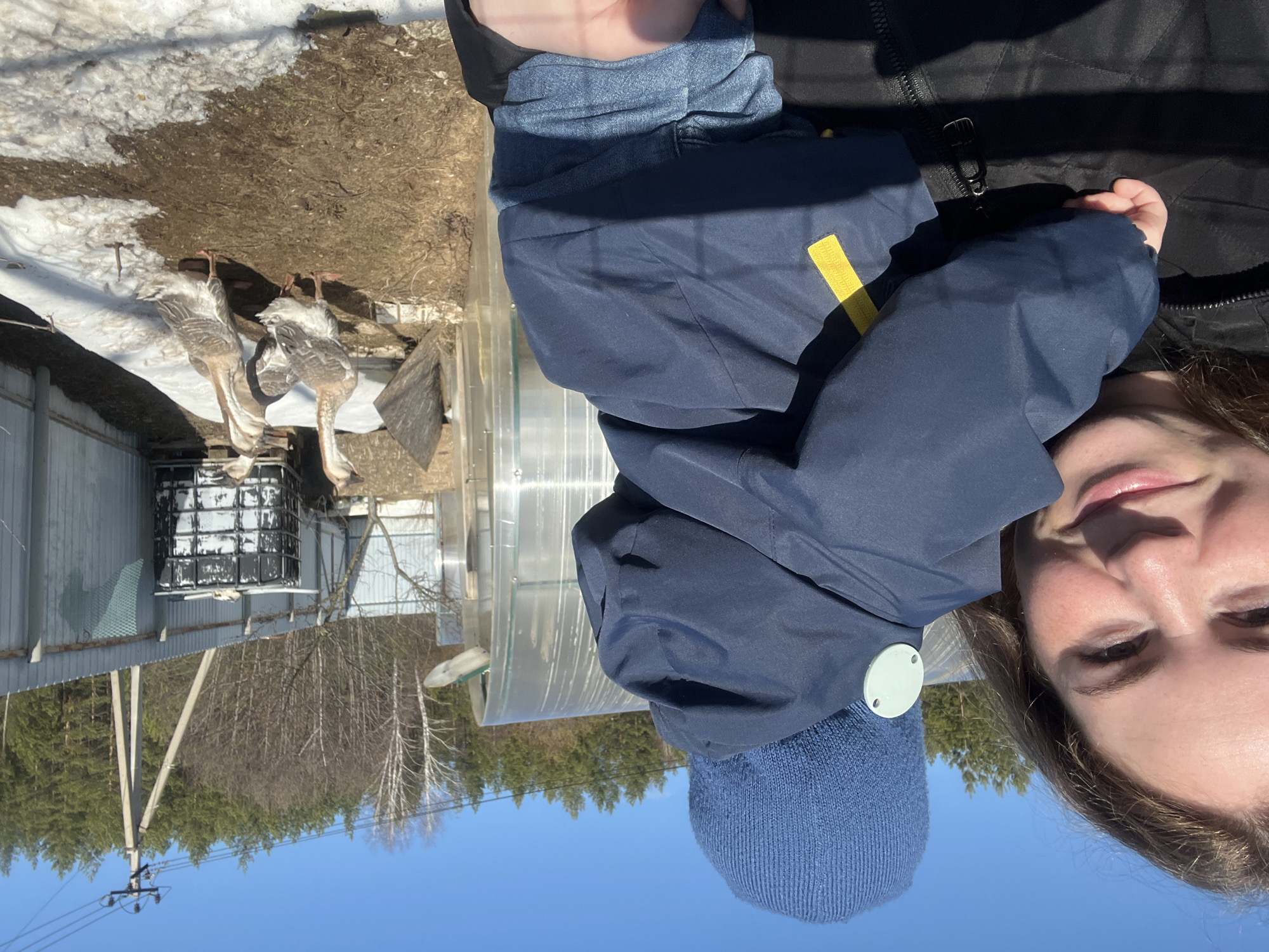 The image depicts a woman and child outdoors, likely in a rural setting near Chaikovsky, Russia. The woman is holding the child, who is wearing a blue hat and jacket with a yellow stripe. In the background are three geese standing near a structure with snow patches and what appears to be a greenhouse and trees. Overhead power lines are also visible. The sky is clear and blue.
