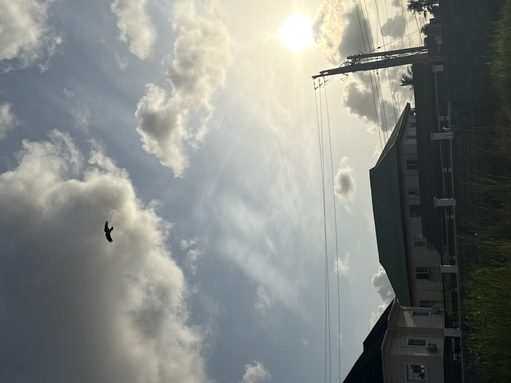 The image depicts a daytime scene in Ado, Nigeria. The sky is partially cloudy with the sun visible through a thin layer of clouds. A bird is in flight, silhouetted against a cloud. Utility poles and lines run across the upper right portion of the image, next to a building with a green roof. A fence and tall grass are visible on the right edge of the frame.