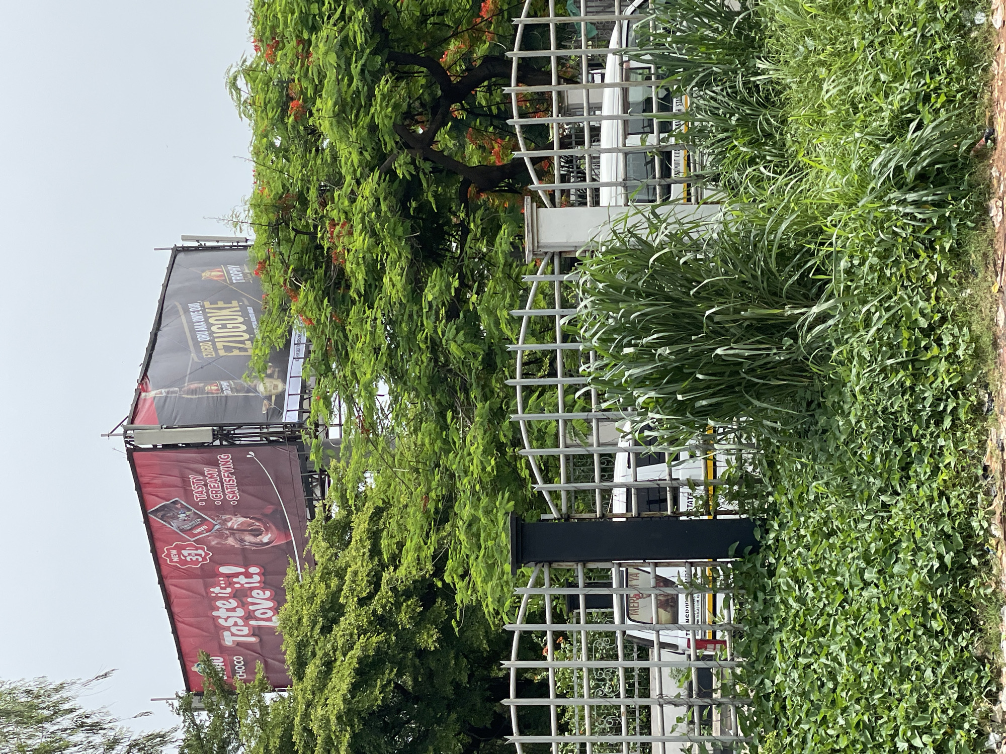 The image shows a street scene in Onitsha, Nigeria, featuring two prominent billboards. The lower billboard advertises a chocolate product (New 3T, CHOC, Taste it…! Love it! TASTY, CREAMY, SATISFYING). Above it, a second billboard advertises Trophy beer (EZIGBO ORU AKA ONYE DO, EZUGOKE).
A white, trellis-style fence separates the foreground vegetation from the street. A white van is visible through the vegetation and fence. The surrounding environment is lush with green foliage, including trees with red flowers. The sky is overcast.