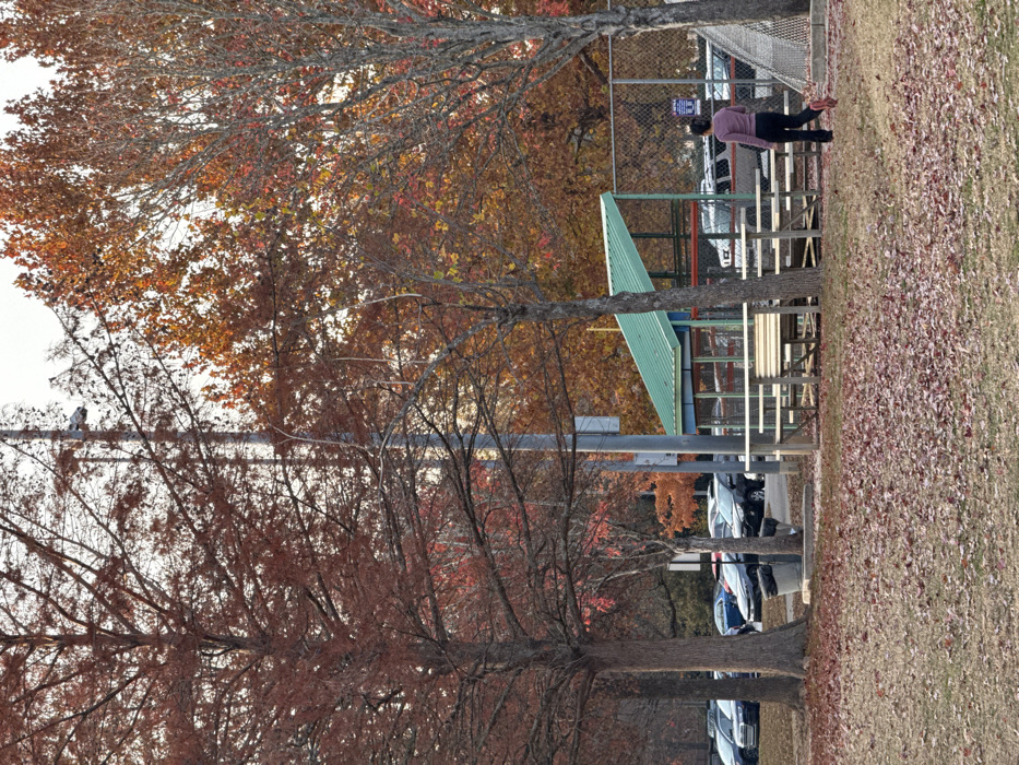 Autumnal landscape shows a baseball field bench with a green roof. A person in a pink sweater stands near the bench. The trees in the foreground have reddish-brown leaves, while the background trees display golden-brown foliage. Fallen leaves cover the ground. Cars are parked along a street visible through the trees. A wire fence encloses the field. The sky is overcast.