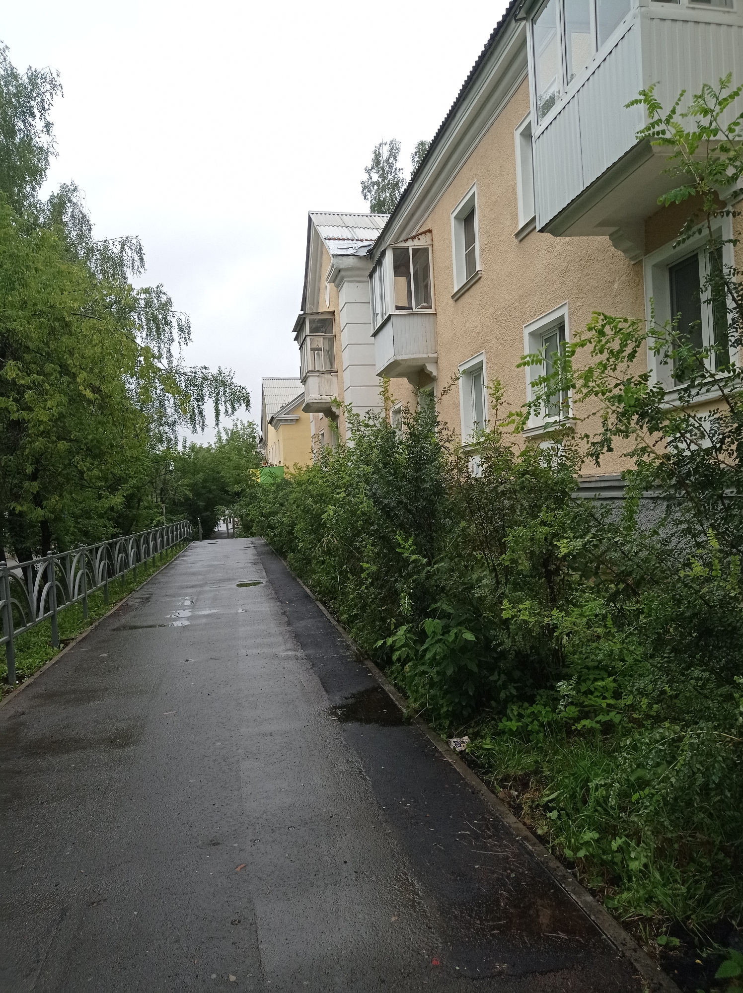 The image depicts a wet asphalt pathway alongside a low-rise building in the city of Degtyarsk, Russia. The building, painted a light yellow, has white-framed windows and balconies with white metal railings. Lush green bushes and trees line the pathway and surround the building, creating a somewhat overgrown appearance. A metal fence with a decorative pattern runs along the left side of the pathway, separating it from a dense area of trees. The pathway itself is dark and reflective due to recent rain, with several puddles visible. The sky is overcast and grey, suggesting a cloudy or rainy day. No people are visible in the scene.