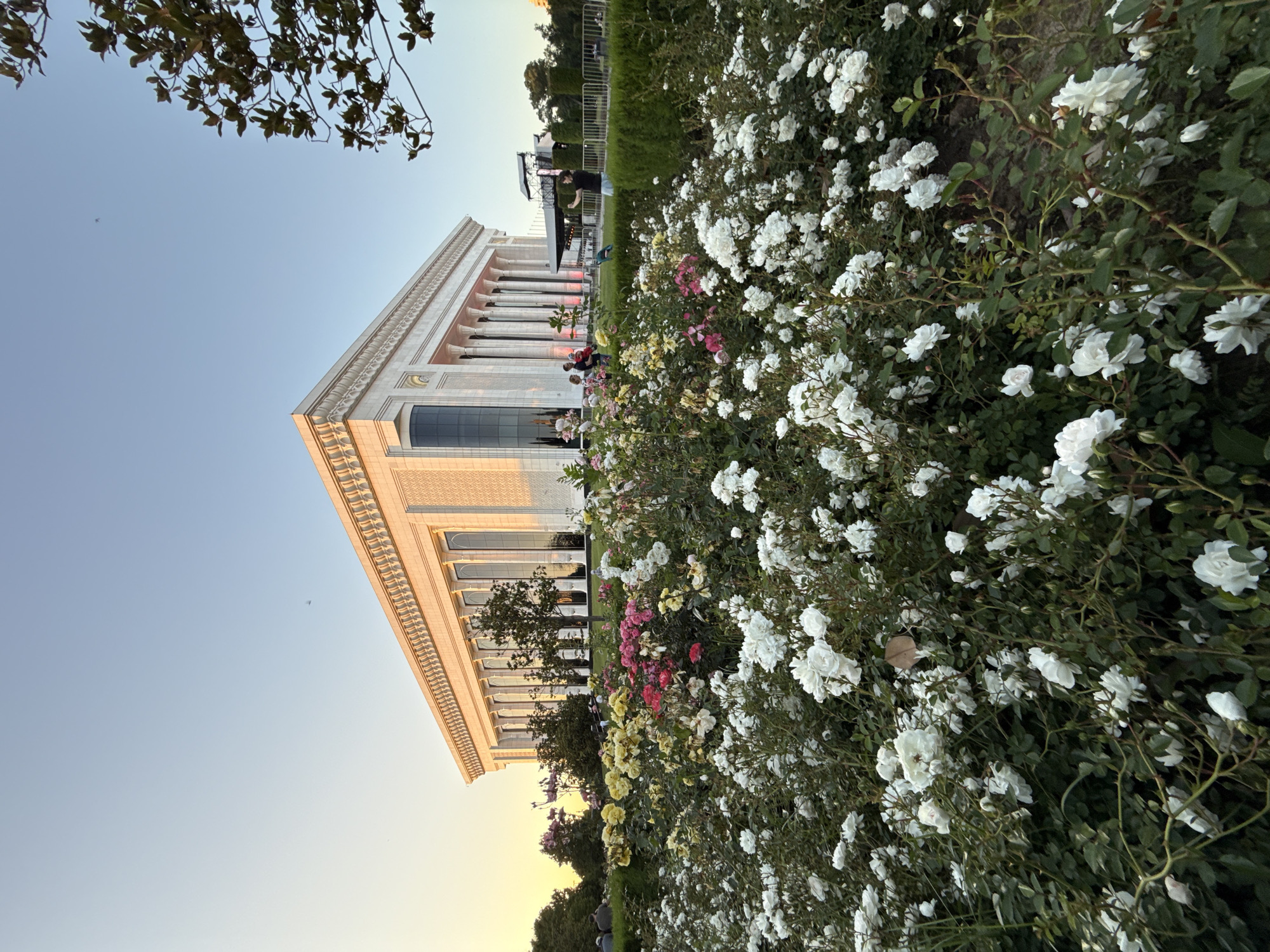 The image shows the "Palace of International Forums" in Tashkent, Uzbekistan. The building has a classical facade with columns. In front of the building are flowerbeds with white, yellow, and pink roses. A few people are standing on the grass. Overhead, there are tree branches. The sky is clear.