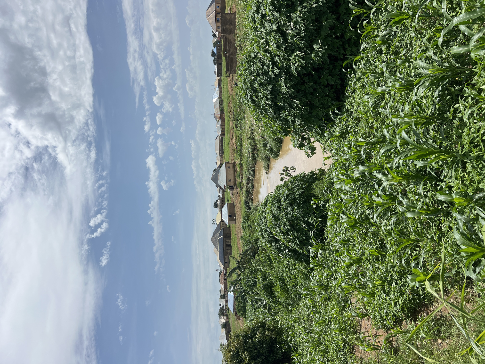 The image depicts a village scene in Jos, Nigeria, under a partly cloudy sky. In the foreground, lush green vegetation, possibly a cornfield, dominates the lower half of the frame. A muddy river flows through the middle ground, bordered by more dense greenery. Beyond the river, a collection of houses with various roof types, including corrugated metal and thatched styles, are scattered across a gently sloping landscape. Some houses appear to be under construction. The overall impression is of a rural community in a tropical or subtropical environment.