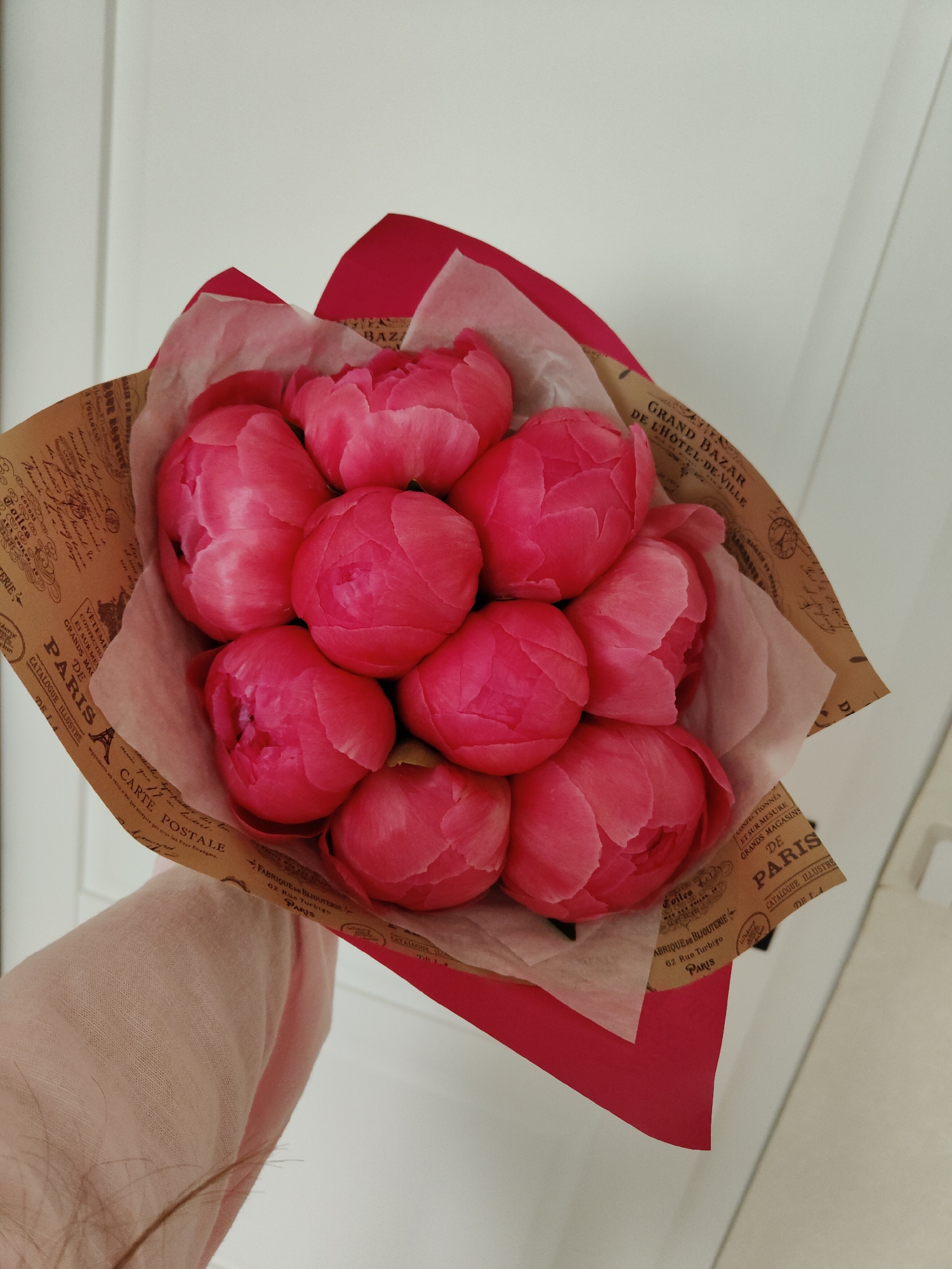 A close-up, eye-level shot captures a vibrant bouquet of tightly budded pink peonies held by a person's hand. The hand, with light skin and a light pink/peach-colored sleeve, is visible at the bottom left, supporting the floral arrangement.
The bouquet features approximately nine to ten plump, spherical peony buds, their petals a rich fuchsia pink. They are nestled within layers of wrapping: an inner layer of white or light pink tissue paper provides a soft contrast, while the outer layer is brown paper adorned with a vintage French-themed design. The background is a simple, plain white wall or door, offering a clean backdrop that makes the colorful flowers stand out. A subtle vertical line on the left of the background hints at a door frame or paneling.
The image conveys the moment someone is holding or presenting this fresh bouquet of unbloomed peonies. The tight buds suggest the flowers are newly acquired and anticipate blooming.
Visible text on the brown wrapping paper reinforces a vintage French aesthetic, with phrases such as "GRAND BAZAR DE L'HÔTEL-DE-VILLE", "CONFECTIONNÉS ET SUR MESURE GRANDS MAGASINS DE PARIS", "CATALOGUE ILLUSTRÉ", "CARTE POSTALE", and "FABRIQUE DE BIJOUTERIE 62 Rue Turbigo PARIS". Other words like "TOULOUSE", "VÊTEMENTS", "COTONS", and "TOILES" are also discernible, contributing to the decorative, old-world charm of the wrapping.