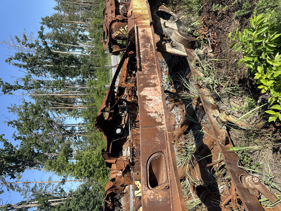 The image depicts an outdoor scene in Dmytrivka, Ukraine, featuring extensively rusted and severely damaged metal wreckage consistent with multiple destroyed military vehicles, situated at the edge of a wooded area alongside a visible road. In the foreground and midground, large, reddish-brown corroded sections of vehicle chassis and upper structures are visible, exhibiting significant deformation, tearing, and fragmentation. One prominent horizontal piece appears to be a main hull section. To the right, another distinct piece of wreckage, possibly part of a turret or engine compartment, displays faint yellow markings. Sparse green vegetation, including blades of grass and small leafy plants, grows around and through the debris. In the background, a dense line of tall, green-leafed trees forms a forest, with a gray asphalt road and a section of a wire fence visible between the wreckage and the trees. The sky above is clear and blue, indicating daytime conditions. No individuals are present in the scene.