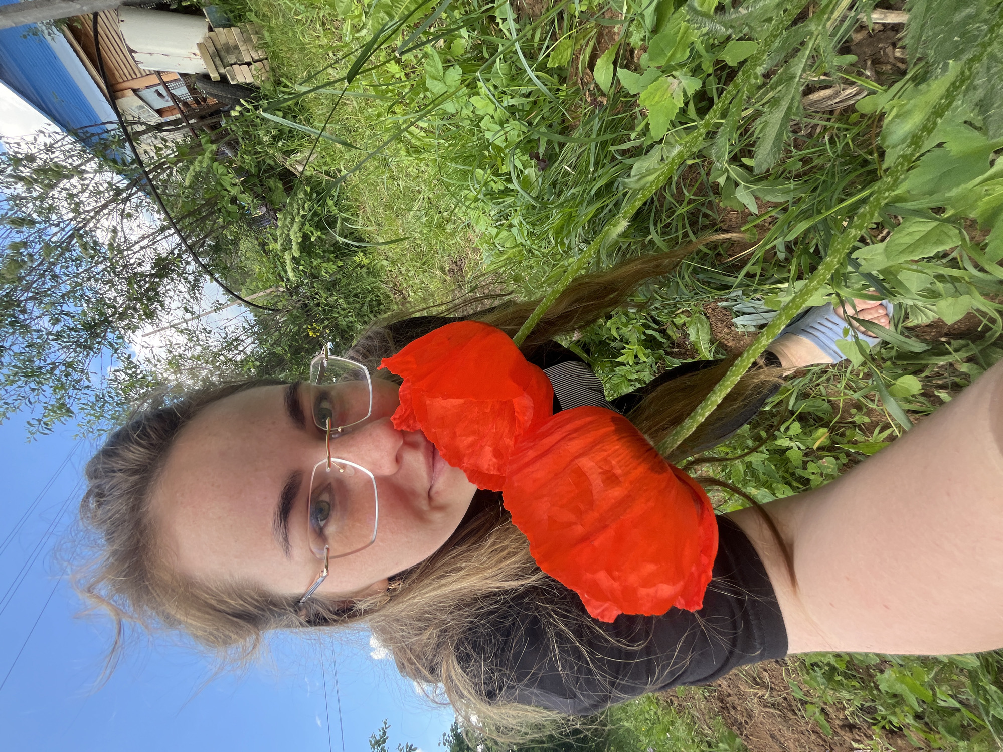 A female individual is depicted in a wide-angle outdoor selfie taken in Сосново, Russia. She has light brown, windblown hair and wears gold-rimmed rectangular glasses. Her fair skin exhibits freckles. She is wearing a black short-sleeved top. The individual holds two vibrant red poppy flowers, which partially obscure her lower face and chest. Her left arm is visible in the lower left foreground. Her right foot, wearing a light blue sandal, is partially visible in the lower right, amidst dense green vegetation. The immediate foreground consists of patches of bare earth and various green grasses and weeds. In the background, to the right, a weathered wooden structure with a blue tarp or roofing material is present, along with stacked light-colored bricks, a white cylindrical container, and a black tire. A dark, curved metal frame extends through the background foliage. Numerous green trees and bushes are visible, contributing to an overgrown environment. The sky is predominantly clear blue with minimal white clouds. Multiple thin, dark lines, identified as power lines, traverse the upper left portion of the sky.