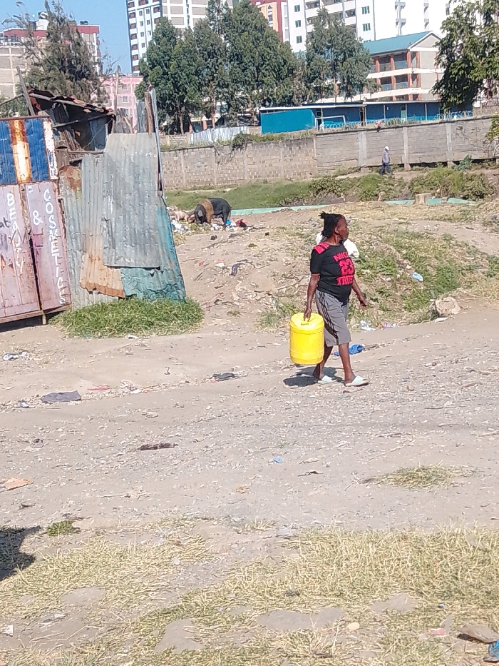 The image captures an urban scene in Nairobi, Kenya, specifically within an informal settlement or transitional area characterized by mixed development. The foreground features a dirt path sparsely covered with dry grass and scattered refuse. To the left, a makeshift structure, likely a small shop, is constructed from rusty and painted corrugated metal sheets, with faded blue, white, and brown sections displaying "BEATY & COSMETICS" text.
In the mid-ground, a dark-skinned woman walks from right to left across the dirt path, carrying a yellow plastic jerrycan in her right hand. She wears a black t-shirt with red lettering ("NIKE 23 TRUE" is partially visible) and grey shorts, complemented by white slip-on sandals. To her left and slightly behind, a black and tan pig forages through a pile of refuse on the ground.
A concrete wall, topped with sections of barbed wire, traverses the mid-background, separating the foreground from an elevated area. Beyond this wall, a person in light-colored clothing walks from left to right. The far background reveals several modern multi-story buildings and numerous green trees under a clear, bright sky.