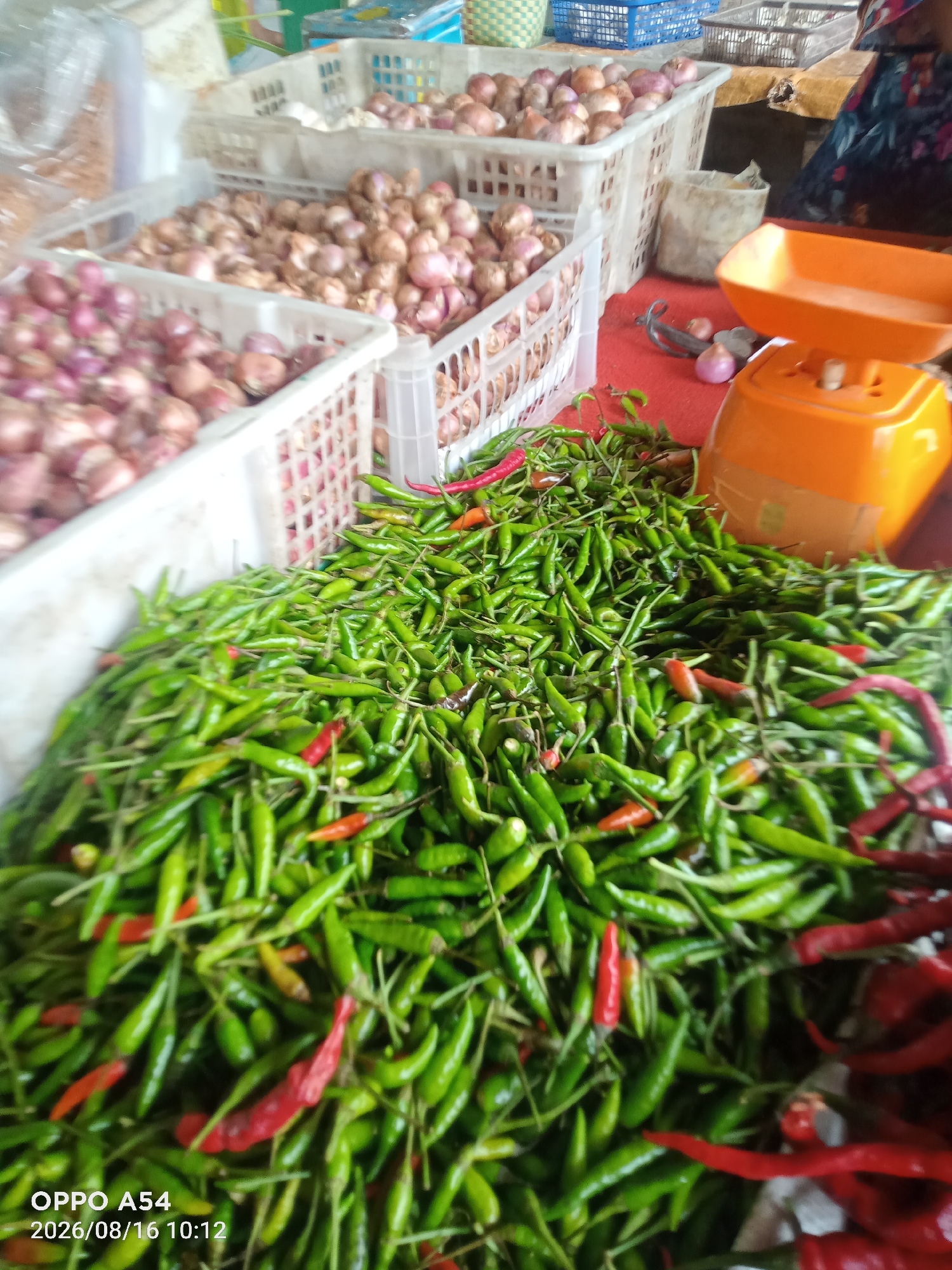 The image depicts a market stall in Jambi, Indonesia, likely a produce market. The foreground is dominated by a large pile of fresh green chilies, with a few red chilies interspersed. To the left and behind the chilies, there are white plastic crates filled with red onions. In the background, more crates of red onions are visible, as well as a blue crate and what appears to be a clear plastic bag containing more produce. An orange scale is placed to the right of the chili pile, with a few red onions near it. The overall impression is of a vibrant, busy market scene. The timestamp "OPPO A54 2026/08/16 10:12" is overlaid on the bottom left corner of the image.
