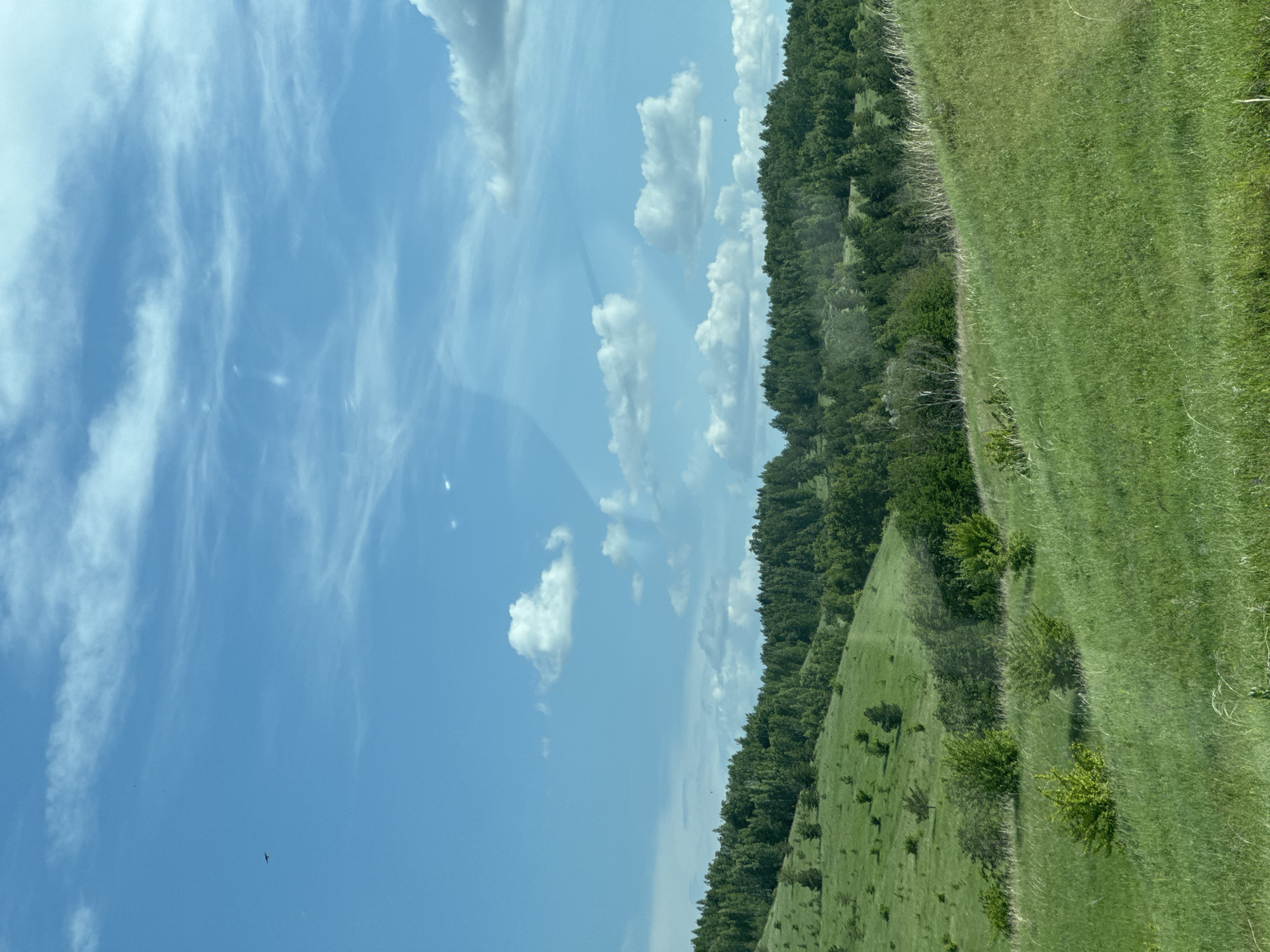 The image displays a panoramic landscape of rolling green hills under a bright blue sky with varying cloud formations. The location is the city of Unknown, Unknown. The sky features high, wispy cirrus clouds and scattered, fluffy cumulus clouds. A dark, winged bird is visible in flight in the upper left quadrant, with a smaller, faint dark spec nearby. Several faint, diffuse light streaks and reflections are present across the sky, consistent with an image captured through a pane of glass. The foreground and mid-ground consist of undulating hills densely covered in vibrant green grass, interspersed with numerous smaller bushes and young trees. The background hills are topped and flanked by extensive, mature forests, appearing to be a mixture of coniferous and deciduous trees. No human subjects, man-made structures, or specific actions/interactions are depicted. The scene presents a natural, rural environment under daylight conditions, likely during a warm season.