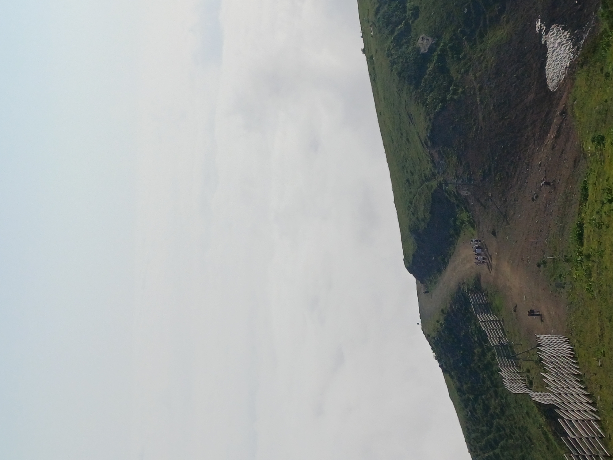The image depicts a mountain slope in Estosadok, Russia, characterized by a dirt path winding upwards through green grass. A wooden fence runs along the side of the path, delineating the terrain. A group of people is visible walking on the path, some further up the slope and others closer to the camera. The sky above is a pale blue, with soft white clouds extending towards the horizon. In the distance, a sea of clouds blankets the landscape below. A patch of snow is visible on the lower right side of the slope. The overall scene suggests a hiking or trekking activity in a mountainous region.