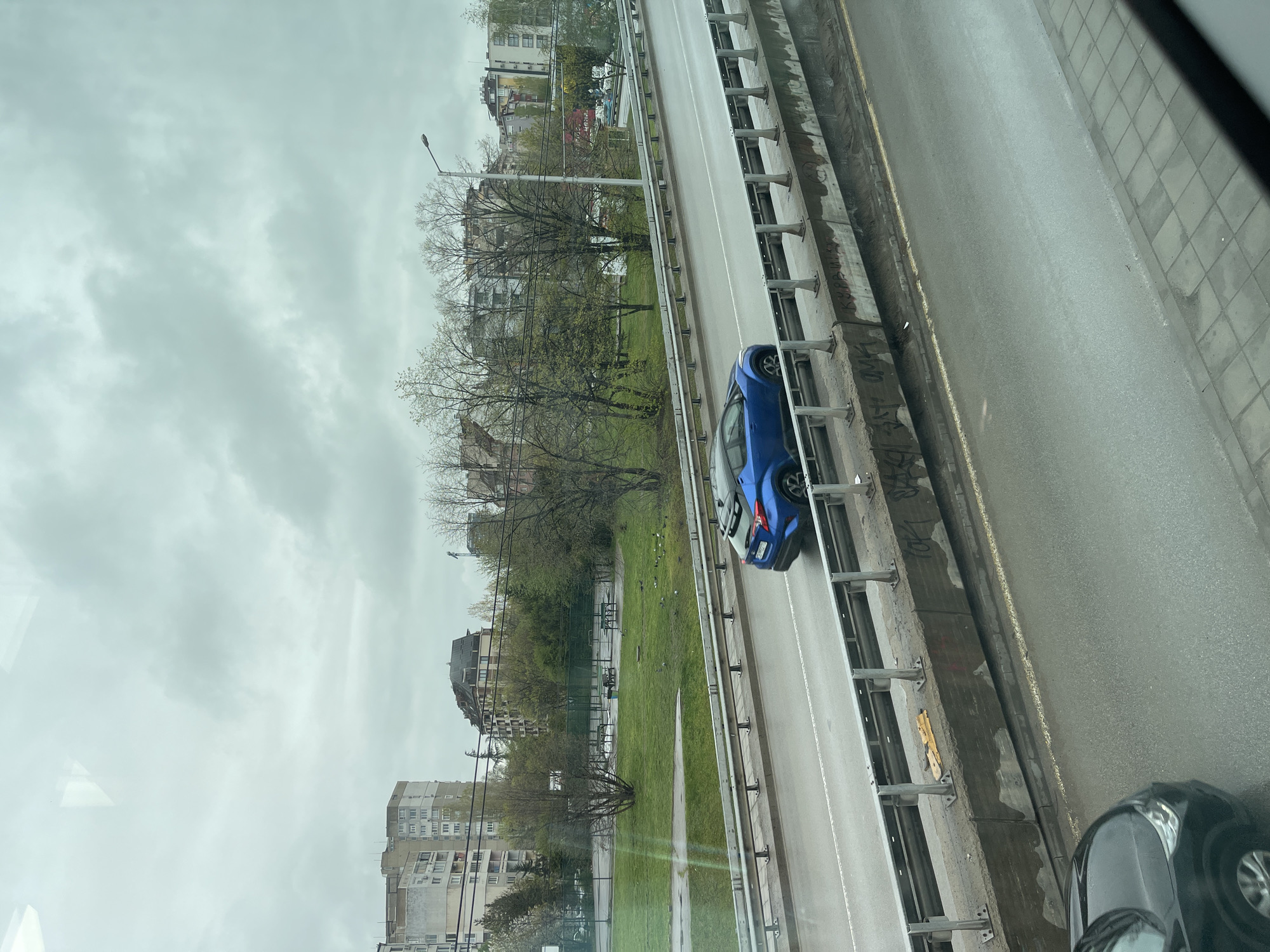 The image depicts an overcast urban landscape, likely viewed from an elevated position such as a window or a vehicle on an adjacent overpass. The sky is dominated by thick, grey clouds, indicating an overcast day with subdued lighting.
A multi-lane asphalt road, appearing wet, runs prominently across the scene. A white dividing line separates the lanes. On the lane closest to the viewer, a blue compact car is visible, its rear facing away. In the bottom right foreground, the front part of a dark-colored car is present, suggesting the photo was taken from inside another vehicle or a structure parallel to the road.
The road is separated from a lower green space by a concrete barrier and a metal guardrail. This lower area features a wide expanse of grass dotted with numerous trees, many still bare or with early budding leaves, characteristic of early spring. In the background, beyond the trees and grass, several multi-story residential buildings with multiple windows are visible, typical of an urban residential area. A single streetlamp stands tall within the grassy median.
Visible graffiti on the concrete barrier below the guardrail includes "КУРВАТА" (K.U.R.V.A.T.A., meaning "THE WHORE" in Bulgarian) and a tag that appears to be "OMK" or "ОМК". The wet appearance of the road surface suggests recent rain or damp conditions. The scene portrays a mundane, quiet moment in an urban setting, consistent with cities like Sofia, Bulgaria, on an ordinary, cloudy day. No specific event or person is the focal point; it's a general snapshot of the environment.