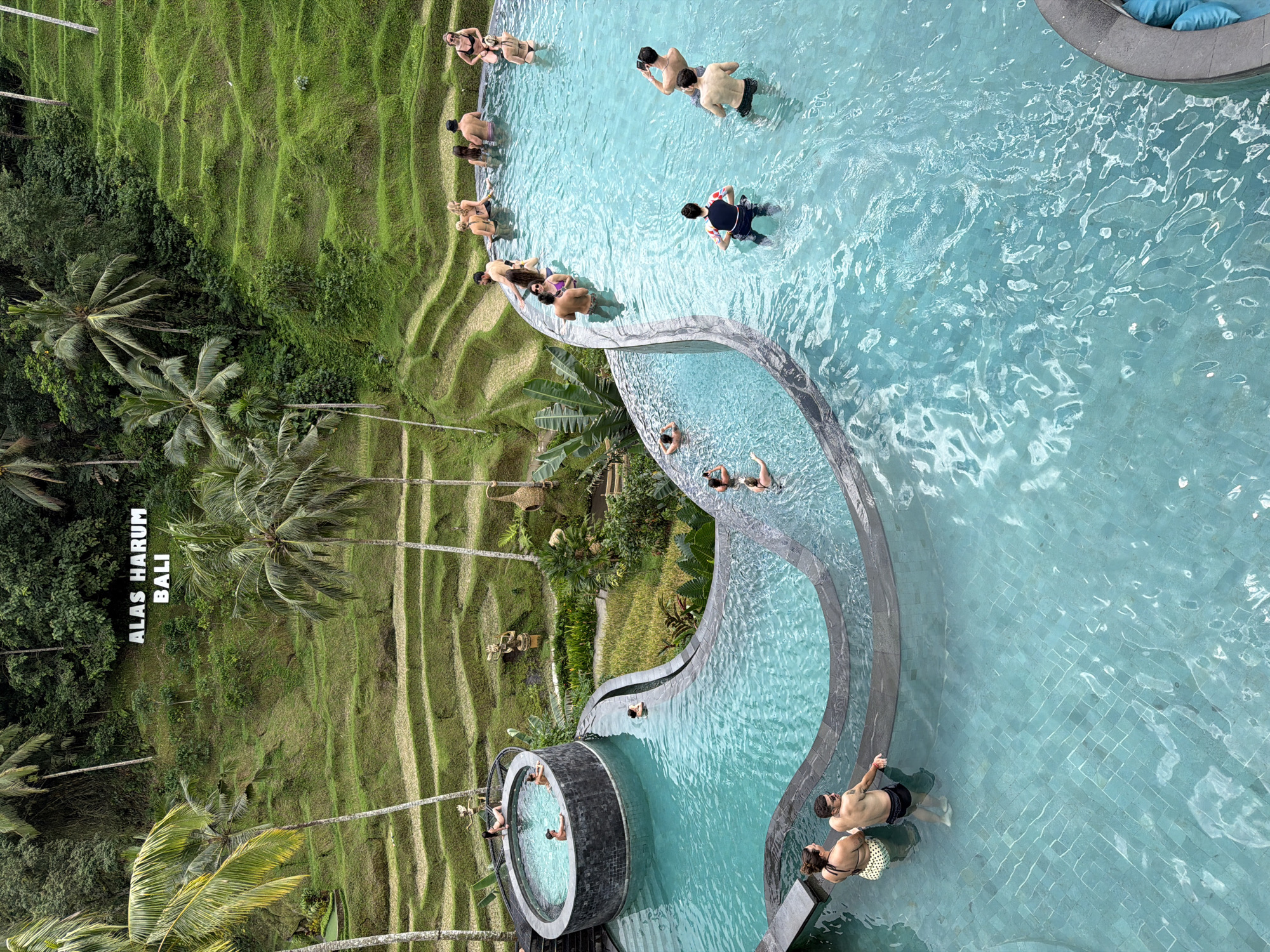 Captured from an elevated perspective, the photograph showcases the Alas Harum Bali complex situated in Tegal Suci, Indonesia. The scene is a blend of natural landscape and constructed recreational elements.
The left side of the image features vibrant green rice terraces alongside lush tropical vegetation including palm trees, adjacent to a large vertically oriented sign reading "ALAS HARUM BALI".
On the right, a multi-tiered swimming pool complex in light blue dominates the scene. Groups of people are seen swimming and relaxing in different sections of the pool. Some are lounging near the edge, while others are actively swimming in the open water. A circular hot tub contains multiple individuals. The water's surface is textured with subtle ripples.