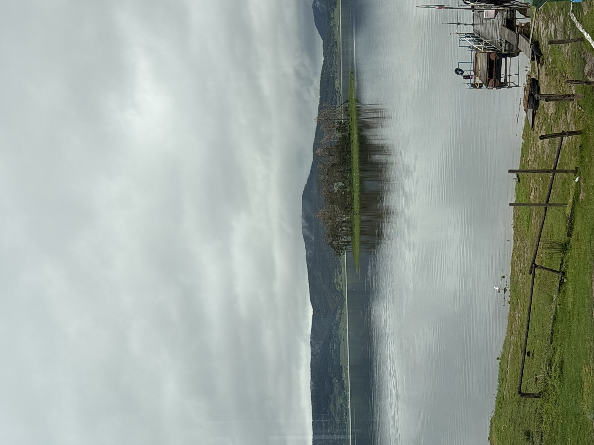 The image shows a view of the Batak Reservoir in Цигов чарк, Bulgaria. The water is calm and reflects the overcast sky. A mountain range is visible in the background, partially obscured by clouds. In the foreground, there is a grassy shoreline with a wooden pier. A single white bird stands near the shoreline, at the water’s edge. A partially submerged wooden structure is also visible near the water.