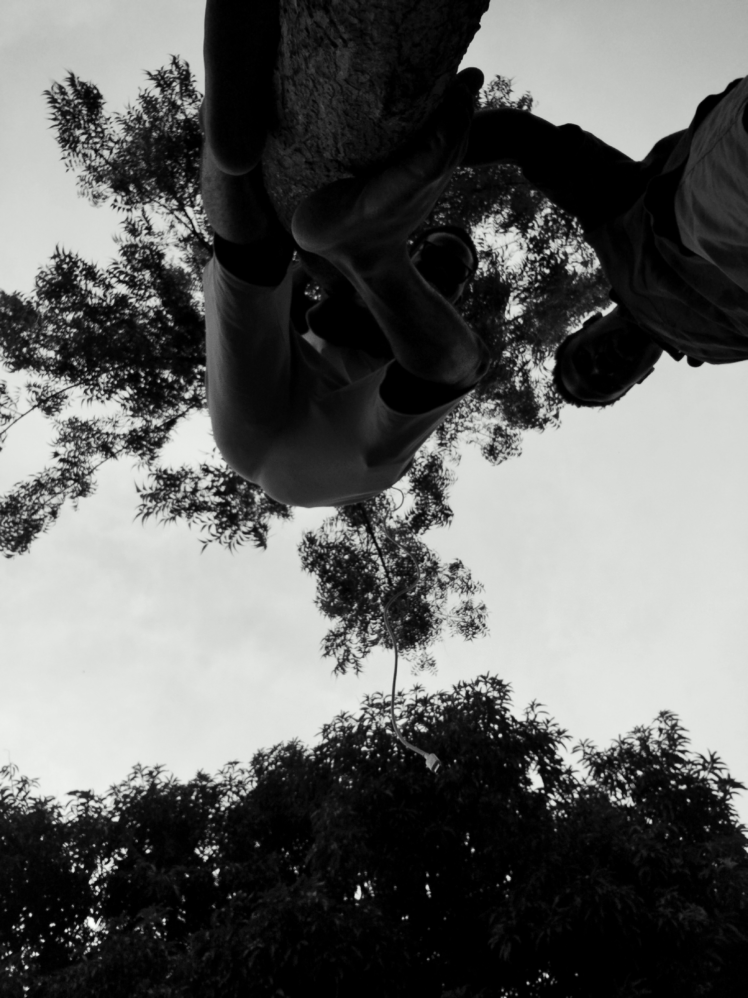The image, taken from a low angle looking upwards, captures two individuals clinging to a tree trunk. The setting appears to be outdoors, with dense foliage of trees visible both above and below the subjects. The sky is overcast. One person's arms are wrapped around the tree, with their legs dangling. Their torso is visible, wearing a light-colored garment. Another person's head and upper body are seen to the right, also near the tree trunk, wearing a dark garment. The overall scene suggests a moment of play or activity involving climbing or hanging from the tree. The location is identified as Narayi, Nigeria.