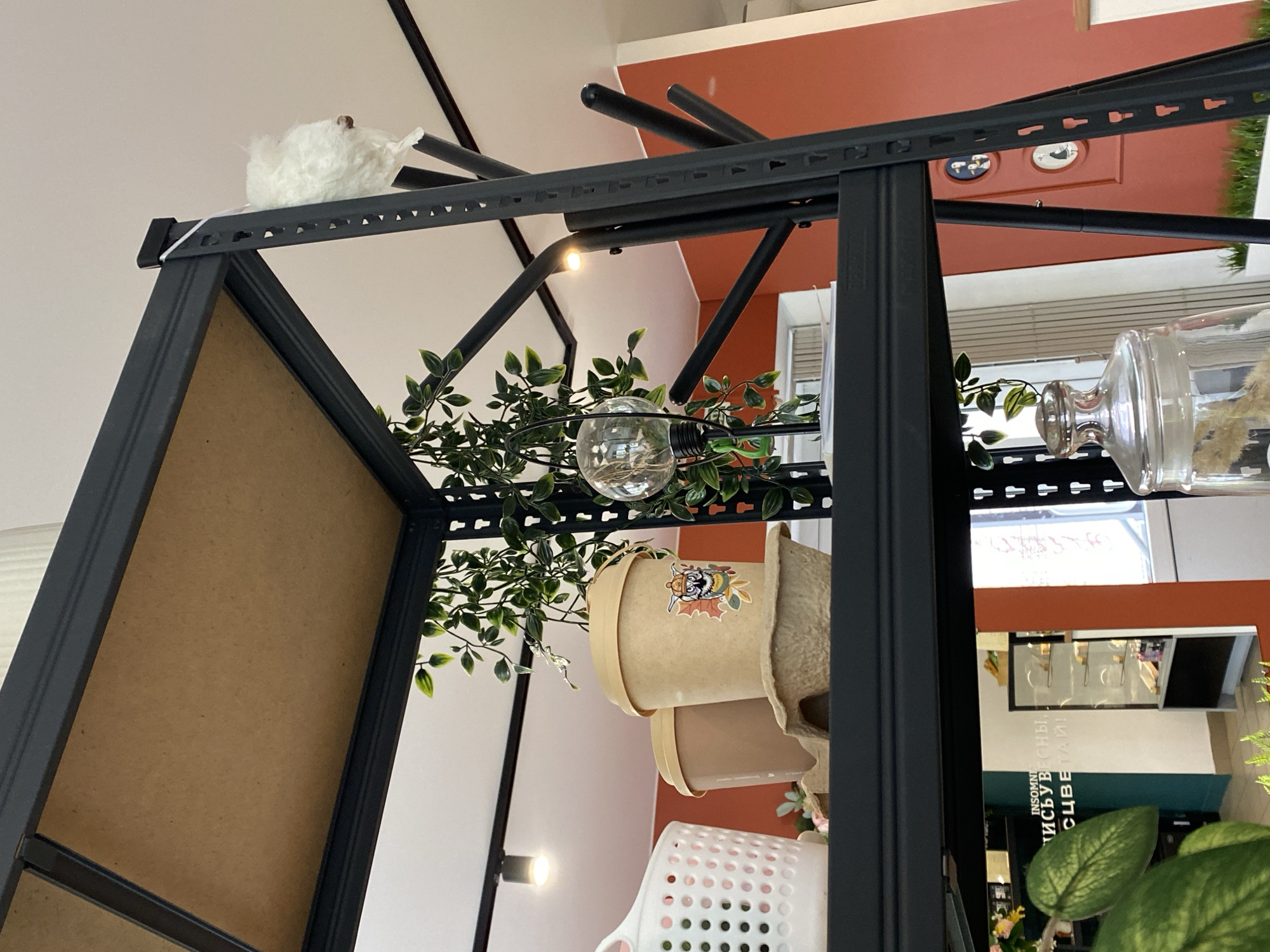 From a low angle, the image depicts a black metal shelving unit displaying potted plants and decorative items. The unit is positioned indoors, likely in a commercial space or cafe in Chaikovsky, Russia. The background features a glimpse of the establishment's interior with orange walls, framed artwork, and signage written in Russian. Light fixtures are visible, and a small white decorative bird sits atop the shelving unit. The scene lacks any apparent human activity.