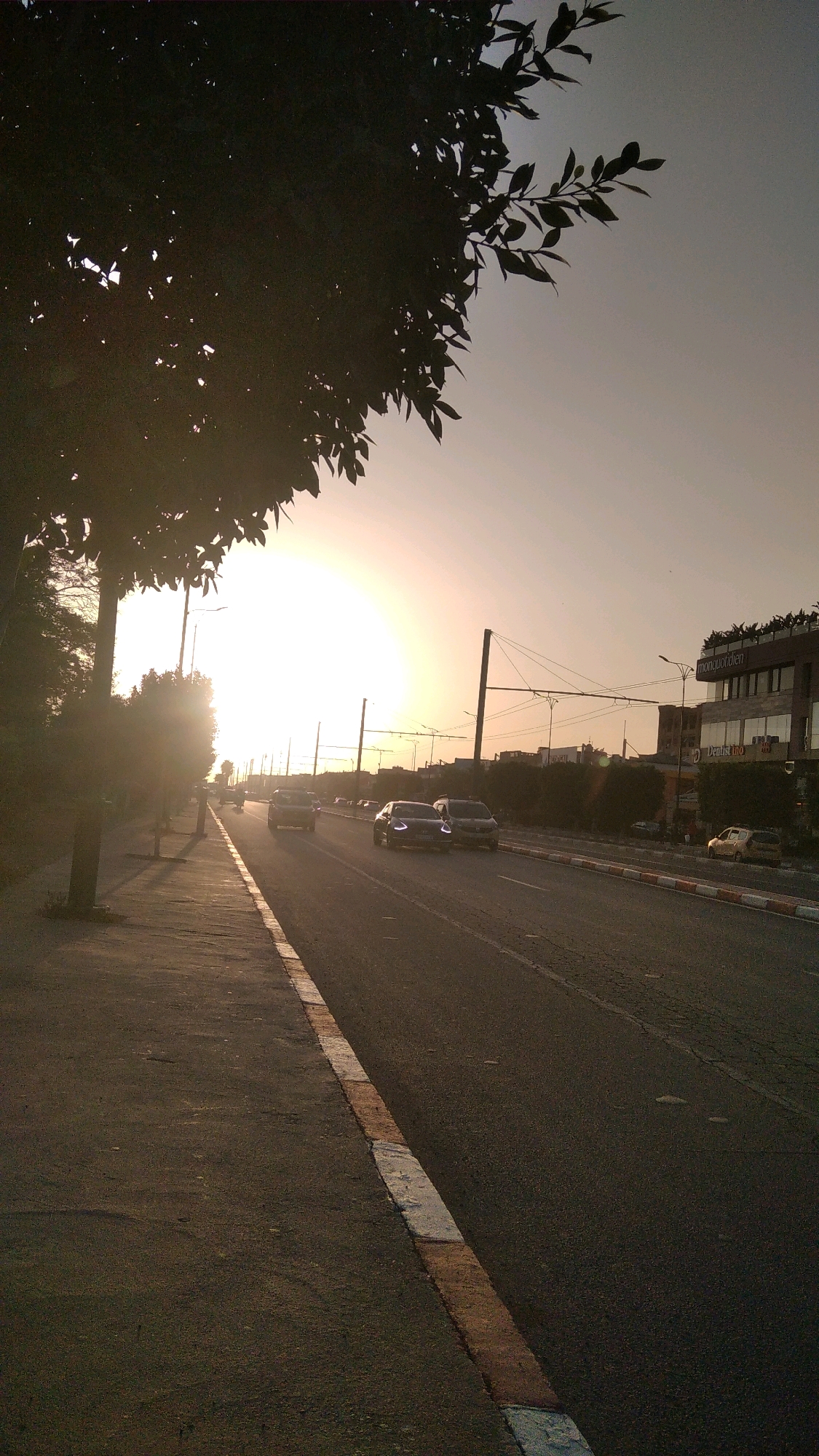 This image depicts a street scene in Marrakesh, Morocco, at sunset. The sun, a bright orb low in the sky, casts a warm glow over the scene, creating long shadows. The foreground features a sidewalk with a tree casting a shadow. The road is multi-lane with vehicles traveling in the same direction. On the right side of the road, there is a building with signage that reads "monoprix" and "Dentisti(no)". There are also overhead wires and poles, likely for public transportation. The overall atmosphere is serene, with the natural light softening the urban environment.