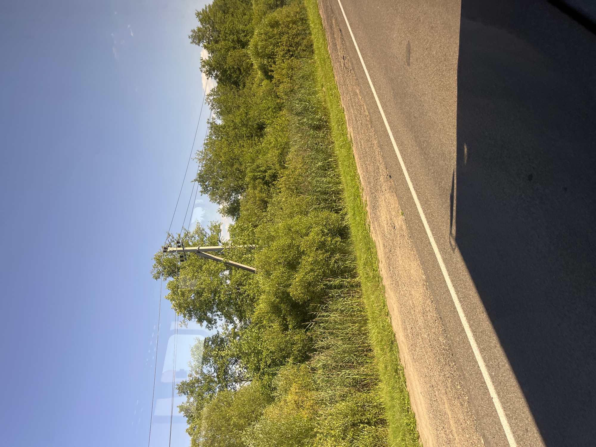 The image shows a rural roadside scene in Myadzyel, Belarus, on a sunny day. A paved road with a white line runs diagonally from the bottom right towards the top left. Adjacent to the road is a dirt shoulder with some grass. Beyond the shoulder is a dense green embankment of trees and tall grasses, with a single wooden utility pole visible amongst the foliage. The sky above is clear blue with a few wispy clouds. The reflection of what appears to be a window or glass surface is visible across the top portion of the image, overlaying the sky and the tops of the trees. There are no people or vehicles present in the frame. The scene suggests a quiet, natural landscape along a road.