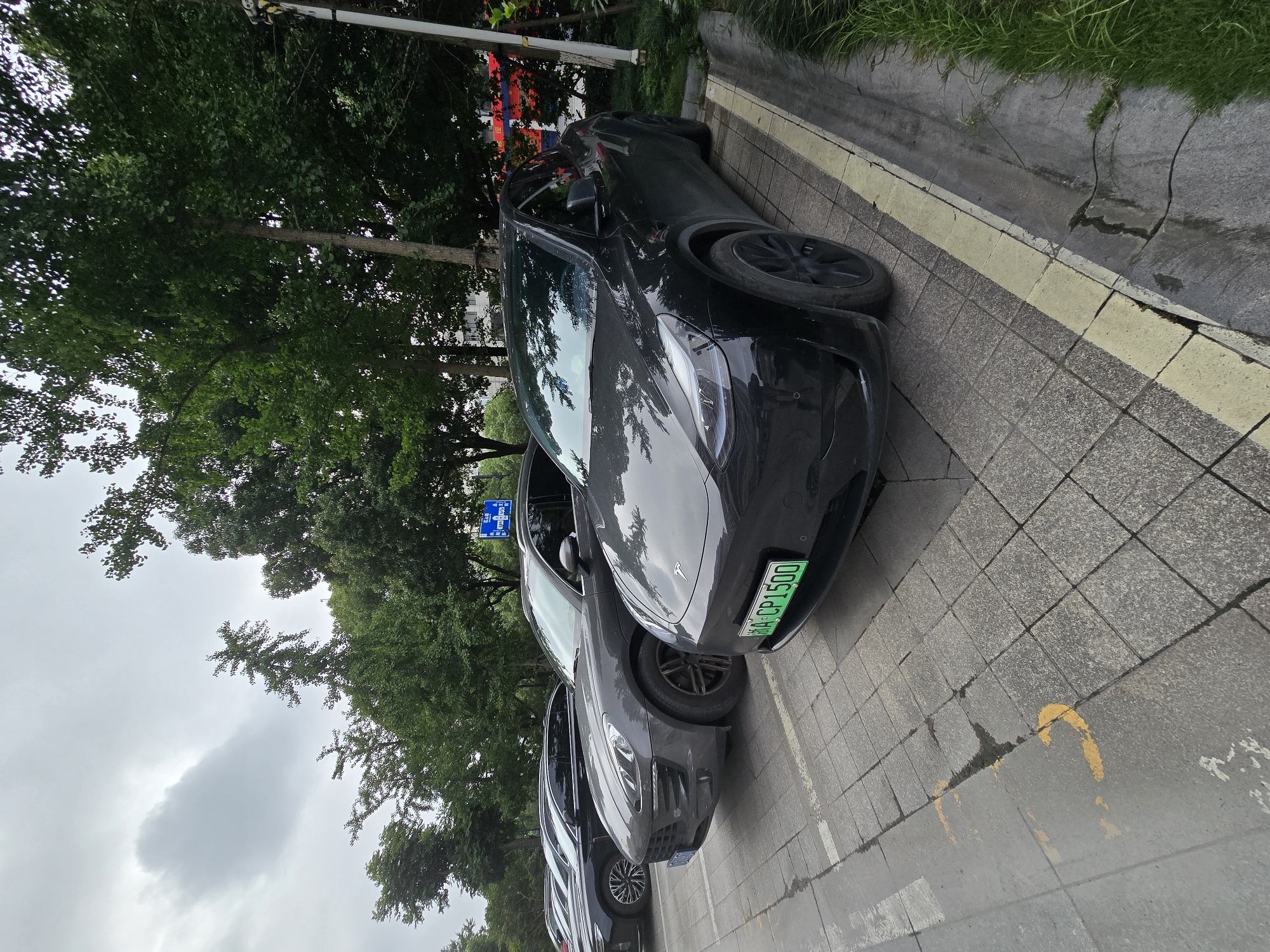This media file captures a street scene in Xiaoshan District, China, with a focus on parked cars. The primary subjects are two dark-colored cars, one black and one gray, parked side-by-side on a paved street. The black car, in the foreground and angled towards the viewer, has a green license plate with the visible text "HAICP1500". The gray car behind it is partially visible, also appearing to be a luxury vehicle.
The setting is an urban environment with mature trees lining the street, their lush green foliage creating a canopy overhead. The ground is paved with gray interlocking bricks, and a yellow curb with painted markings separates the sidewalk from the street. A narrow drainage channel runs alongside the curb, showing signs of recent moisture. The weather appears to be overcast, with a diffused light suggesting either early morning or a cloudy day. The overall mood is tranquil and ordinary, depicting a typical streetscape. There are no people visible in the frame. The scene is static, with the cars at rest. A blue sign is visible in the background amidst the trees, but its text is illegible.