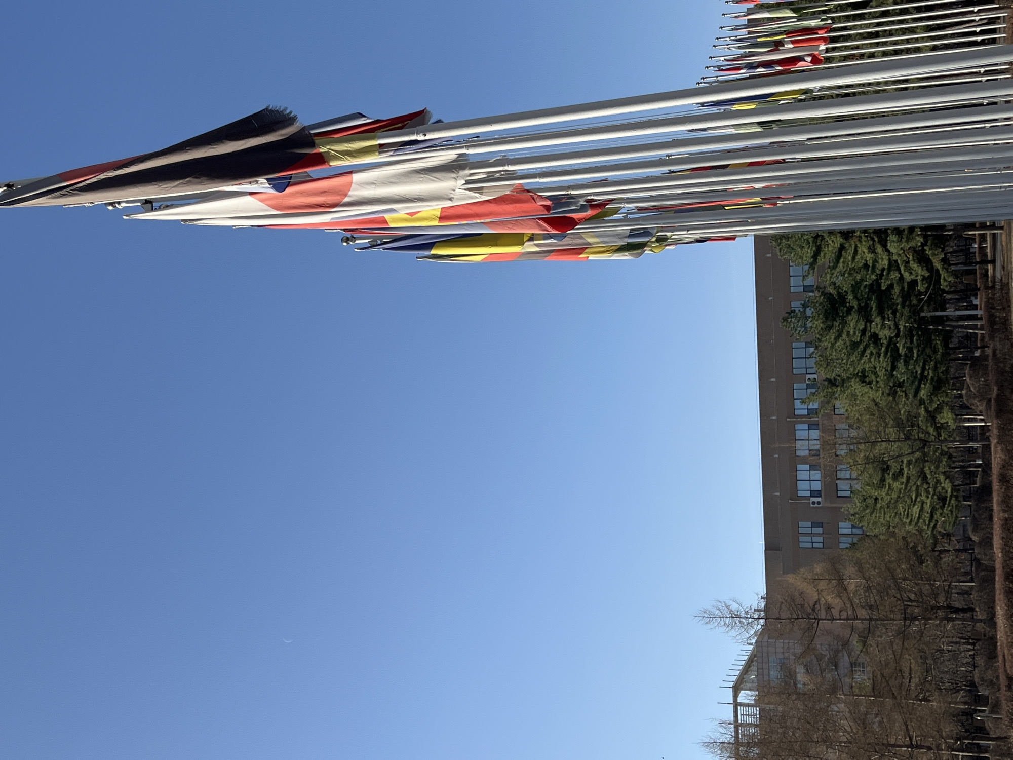 The image shows a collection of international flags hanging from flagpoles, likely representing different countries. The flags are partially obscured and blowing in the wind. The background features a building with a blocky design and several windows, partially concealed by trees. The sky is a clear blue with a faint, crescent moon visible. It is most likely taken from outside the Foreign Affairs Office in Changchun, China.