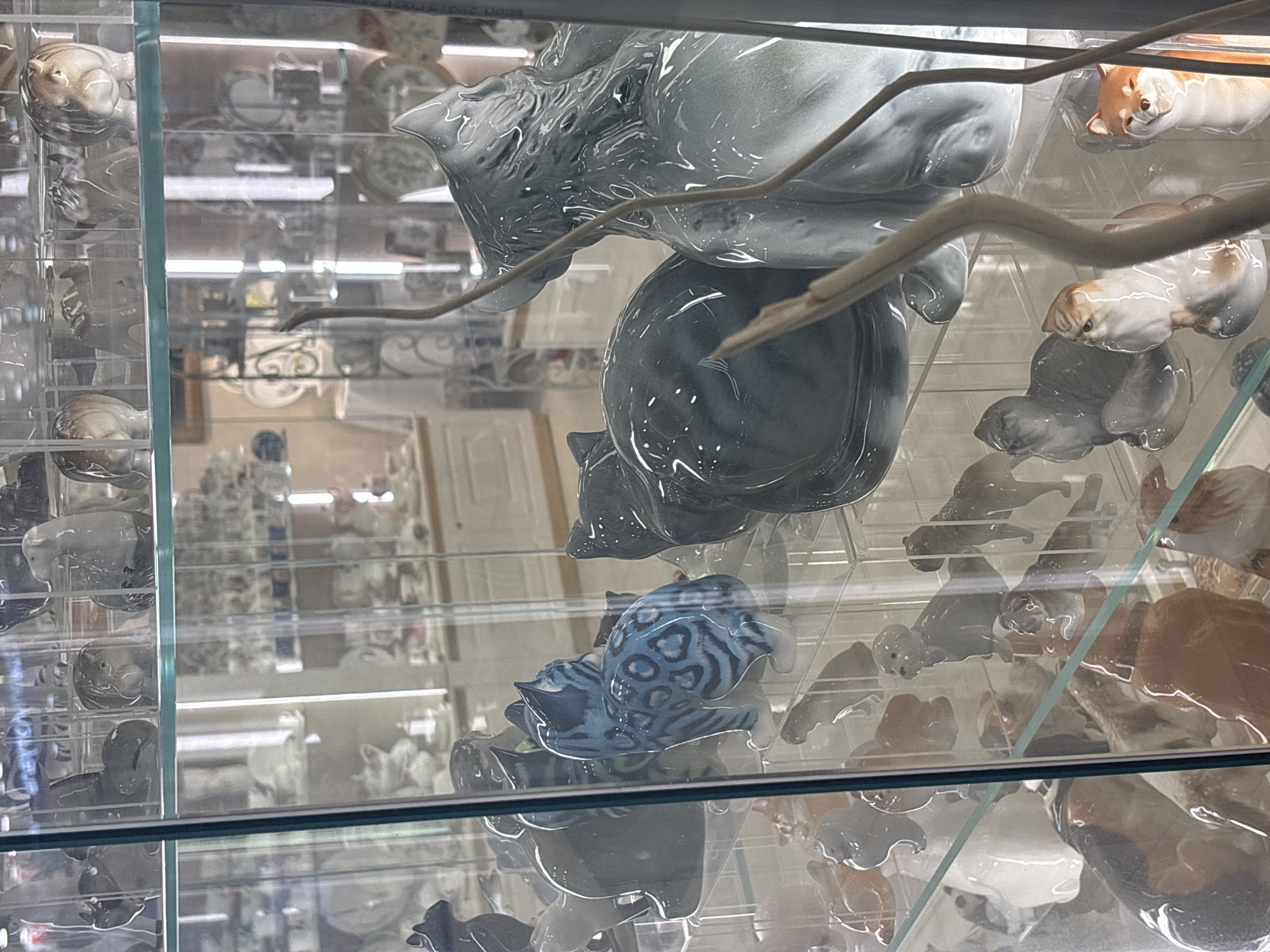This is a medium shot, eye-level interior photograph taken in a retail display case. The display case is made of glass and is filled with numerous ceramic animal figurines. The figurines include cats, dogs, and what appear to be hippopotamuses or rhinos. The lighting in the scene is bright, with reflections visible on the glass surfaces. In the foreground, several cat figurines are prominently displayed. One cat is blue with black spots, while another is a glossy gray. Behind these, a larger, glossy gray cat figurine is partially visible. The background shows shelves filled with more figurines and ceramic tableware, suggesting a shop or showroom. The overall scene is orderly and showcases a collection of decorative items. The location is identified as Unknown, Unknown.