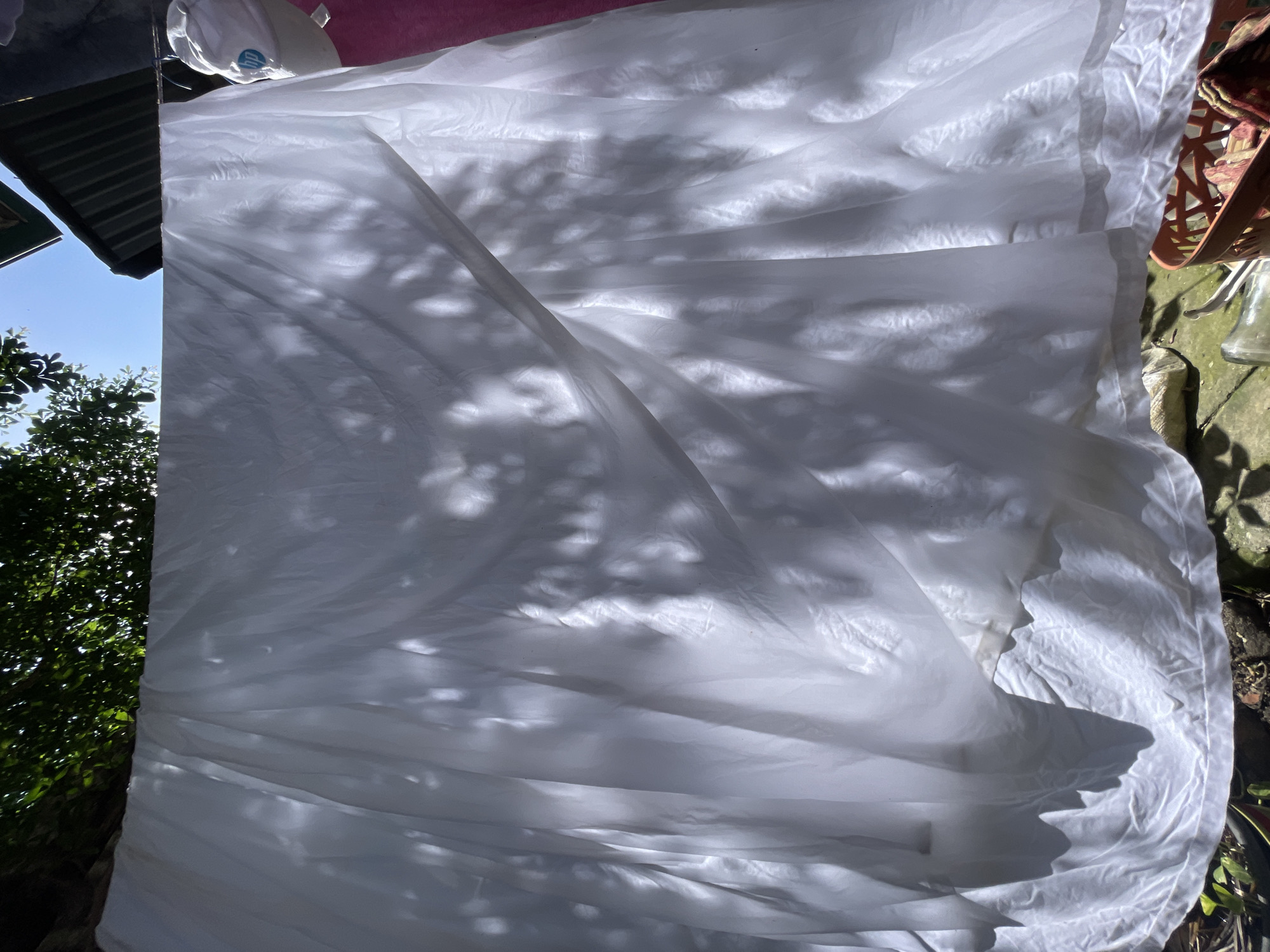 A large sheet of white, translucent fabric hangs vertically outdoors, serving as the central subject of the image. The fabric is heavily wrinkled and folded, illuminated by bright sunlight which highlights its texture and translucency. Prominent, dappled shadows of tree leaves and branches are cast across the white surface, creating an intricate pattern that suggests a sunny day, likely midday or early afternoon.
To the left of the hanging fabric, a vibrant blue sky is visible above lush green tree foliage, indicating an outdoor, possibly tropical, setting consistent with Davao City, Philippines. A dark, corrugated metal roof structure is partially seen in the upper left corner.
In the upper right, behind the white fabric, there's a glimpse of a pinkish-red object or fabric, and a white cap featuring a blue "HP" logo is partially visible. The lower right section of the image reveals a rough ground surface, likely concrete or stone, with small green plants growing. Part of an ornate, reddish-brown wicker or rattan chair is present, along with a clear glass jar or vase resting on the ground. The scene captures an ordinary outdoor environment, possibly a drying area or backyard, bathed in bright sunlight.