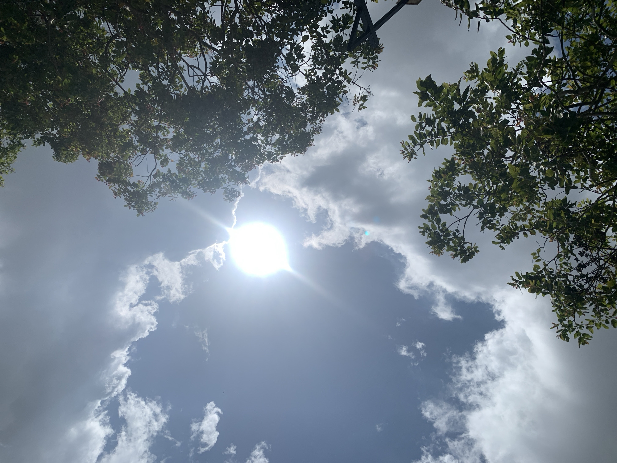 The image shows a bright sun shining through clouds and tree branches. The sky is a mix of blue and white, with the sun creating a lens flare effect. Lush green leaves and dark branches of trees are visible in the foreground and upper right corner, partially obscuring the sky. The perspective is looking upwards, suggesting the viewer is standing below the trees. No people or specific landmarks of Kuru Karama, Nigeria are identifiable in the image.