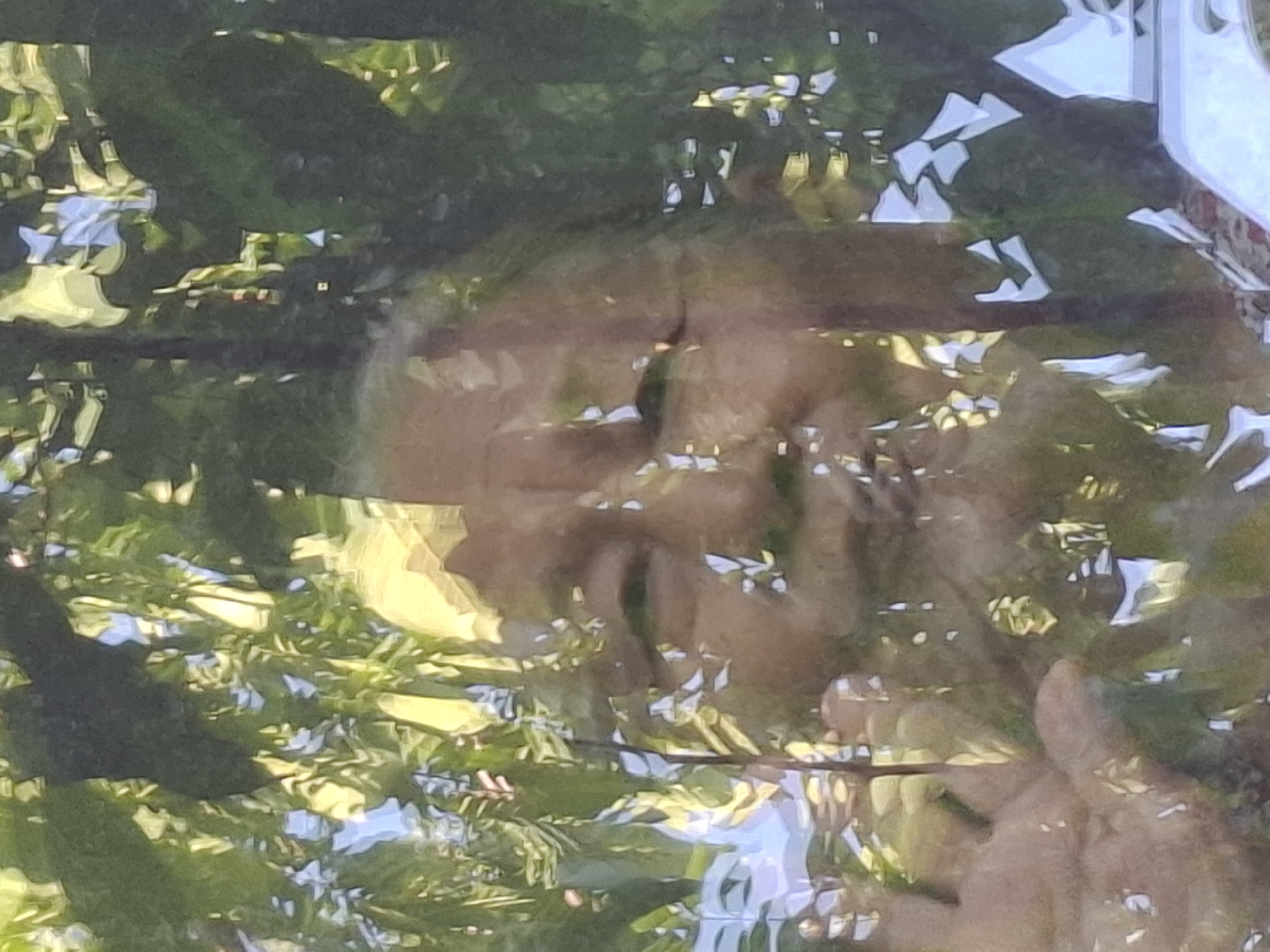 The image shows a close-up, distorted reflection of an elderly person's face superimposed on a background of green foliage and dappled sunlight, potentially taken through a window or glass surface. The person's eyes, nose, and mouth are partially visible, with facial features softened and blurred by the reflection. The overall impression is one of a peaceful, contemplative moment, set outdoors amidst nature. There are no specific landmarks or architectural elements visible in the image to indicate a precise location within Almaty, Kazakhstan. The scene is purely a visual representation of a person and their environment.