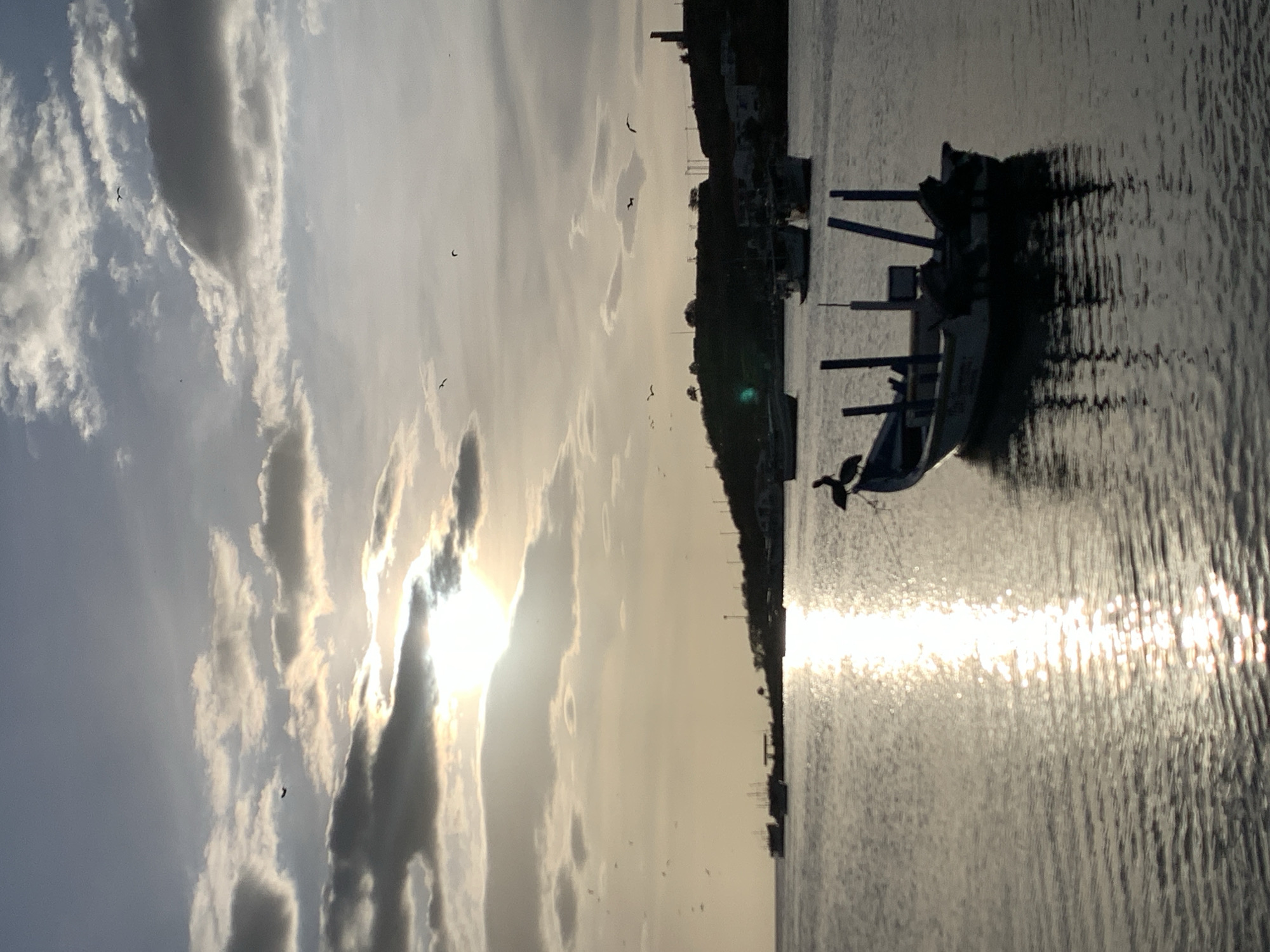 The image captures a tranquil scene at Juan Griego, Venezuela, likely during either sunrise or sunset, given the low angle of the sun and the warm, diffused light. The sun is partially obscured by clouds, creating a bright, shimmering reflection on the calm water of the bay.
In the foreground, a small fishing boat, silhouetted against the bright water, is anchored. Perched on the edge of this boat is a pelican, its dark form distinct against the lighter background. Several other similar boats are visible further out in the bay, also appearing as silhouettes.
The background features a gently sloping hillside covered in lush vegetation, dotted with structures that suggest a small town or village. A lighthouse-like structure stands prominently on the right side of the hill. The sky is a mixture of soft blues and grays, with scattered clouds catching the sunlight. Numerous birds, likely seagulls or similar seabirds, are visible soaring in the sky, adding a sense of life and movement to the serene landscape. The overall atmosphere is one of peace and natural beauty.