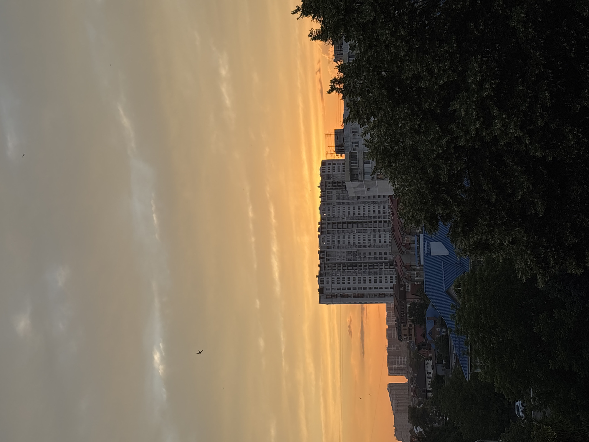 The image depicts a cityscape at sunset, likely in Krasnodar, Russia, given the architectural style. The sky is a vibrant gradient of orange and yellow, with scattered clouds. In the foreground, dark green trees partially obscure the view of various buildings. Dominating the middle ground is a tall, multi-story apartment building with a white facade and numerous windows. To the left and further in the background, other apartment buildings and residential houses are visible, some with red roofs. Two birds are flying in the sky. The overall impression is that of a residential urban area during the evening.