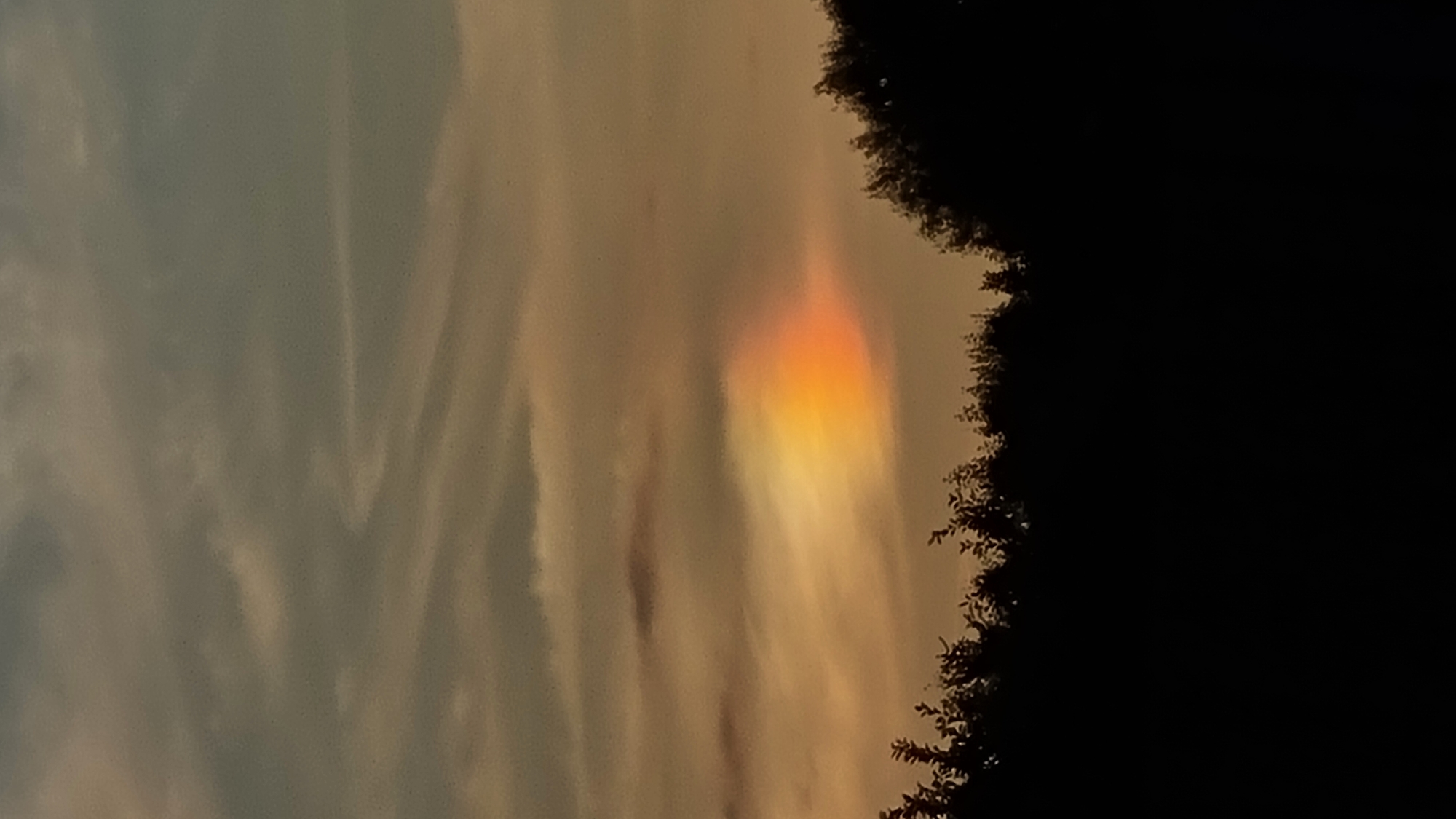 The image shows a sunset with a colorful atmospheric optical phenomenon, possibly a circumhorizontal arc, in the sky. The sun is not directly visible. The sky is filled with clouds in various shades of gray and orange. In the foreground, silhouetted against the sky, is a line of trees. The image is taken from Vysokoe, Russia, suggesting a typical Russian landscape at sunset. There are no people or animals visible in the image. The scene is peaceful and natural, capturing the beauty of the sky during sunset.