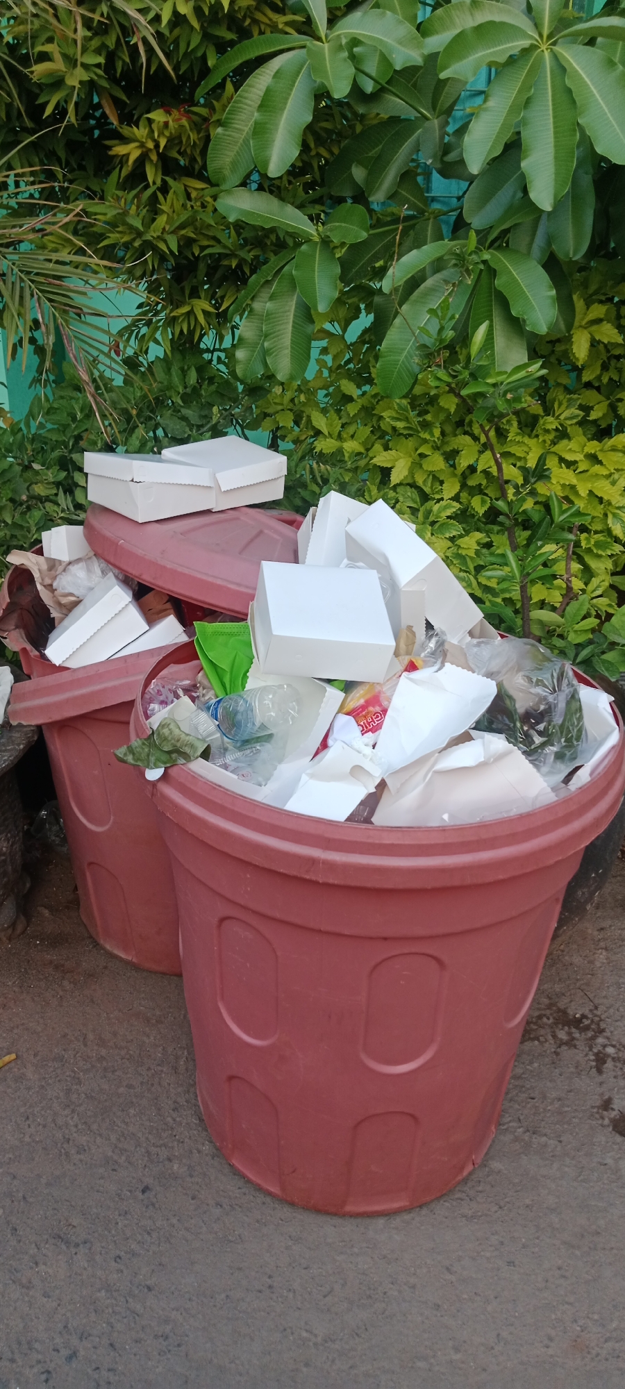 In Tuban, Indonesia, two large, rose-colored plastic trash bins overflow with refuse on a concrete surface. The bins are filled with a variety of waste, including numerous white cardboard boxes, plastic bottles, and crumpled paper and plastic packaging. One bin has its lid resting on top, also covered in debris. Behind the bins, lush green foliage and large leaves provide a natural backdrop against a turquoise-colored wall. The scene suggests an outdoor refuse collection point amidst tropical vegetation.