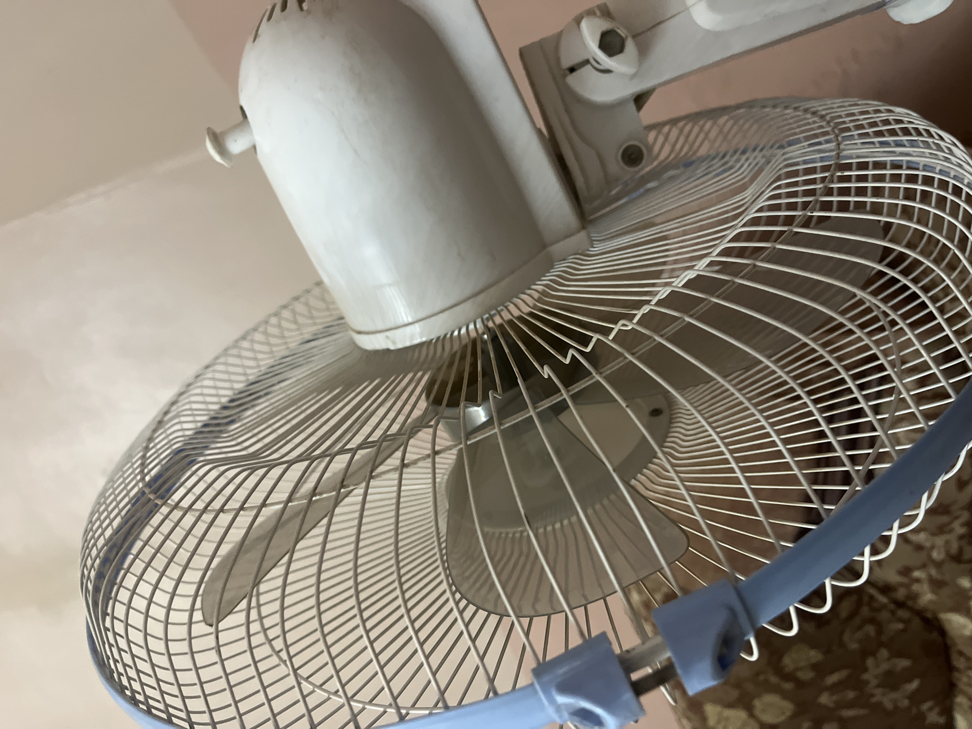 A close-up, low-angle shot shows the protective grille and motor housing of a white oscillating fan. The fan has a blue plastic support arm on the left side, and a white motor housing with a small white button or knob on top. The grille is made of thin, silver-colored metal wires that form a grid pattern. The fan blades are visible through the grille. The background is a pale pinkish-tan color, suggesting an indoor environment. The overall impression is one of a functional appliance captured in a candid, everyday setting.
