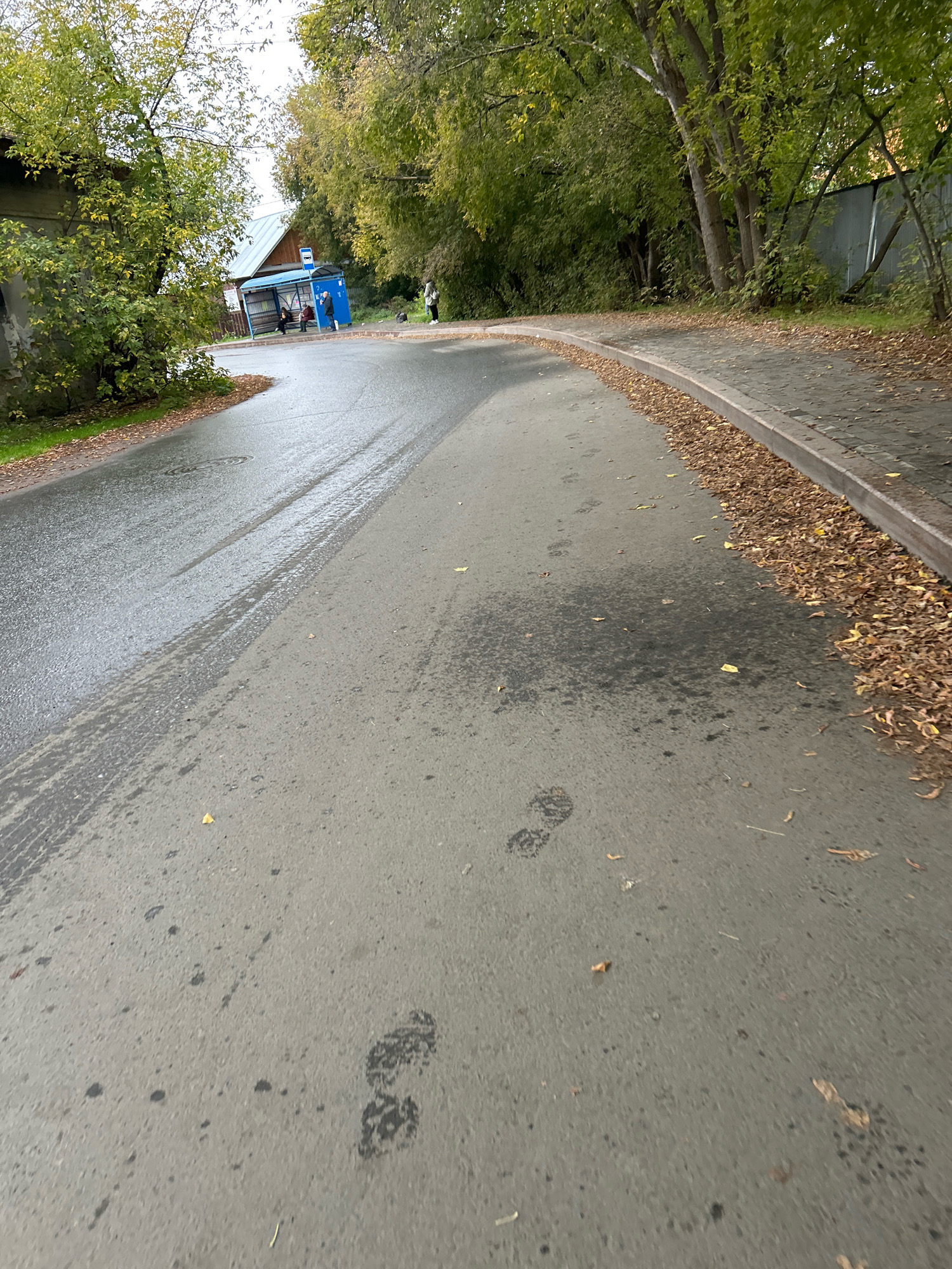 An exterior, low-angle, full shot captures a wet asphalt road and sidewalk in Tomsk, Russia, on a cloudy day. The road is damp, with tire tracks and footprints visible. Fallen autumn leaves, primarily brown and yellow, are scattered along the curb and on the sidewalk. A blue bus stop shelter is visible in the background, with several people standing and sitting inside and nearby. Trees with green and yellow foliage line the side of the road, and a grey metal fence is visible further in the background. The scene suggests a typical autumn day in a suburban or semi-urban area of Tomsk.