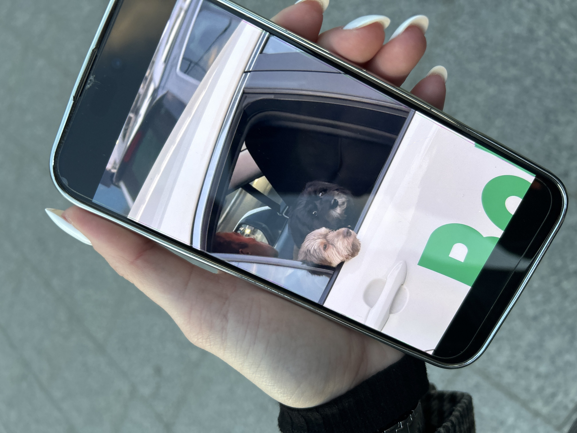 A person is holding a smartphone displaying a photograph of two dogs looking out of a car window. The photograph is partially obstructed by a green and white graphic on the phone's screen. One dog is black, and the other is light brown. The car appears to be light-colored, possibly white or silver. The photograph within the phone appears to have been taken in Warsaw, Poland, based on the "B" logo that is part of the Bolt food delivery branding, as identified in the background of the photograph on the screen. The person holding the phone is wearing a dark-colored garment. The background behind the person is a grey concrete-like surface. The phone has a noticeable crack on the upper left corner of the screen. The person has long fingernails with white tips.