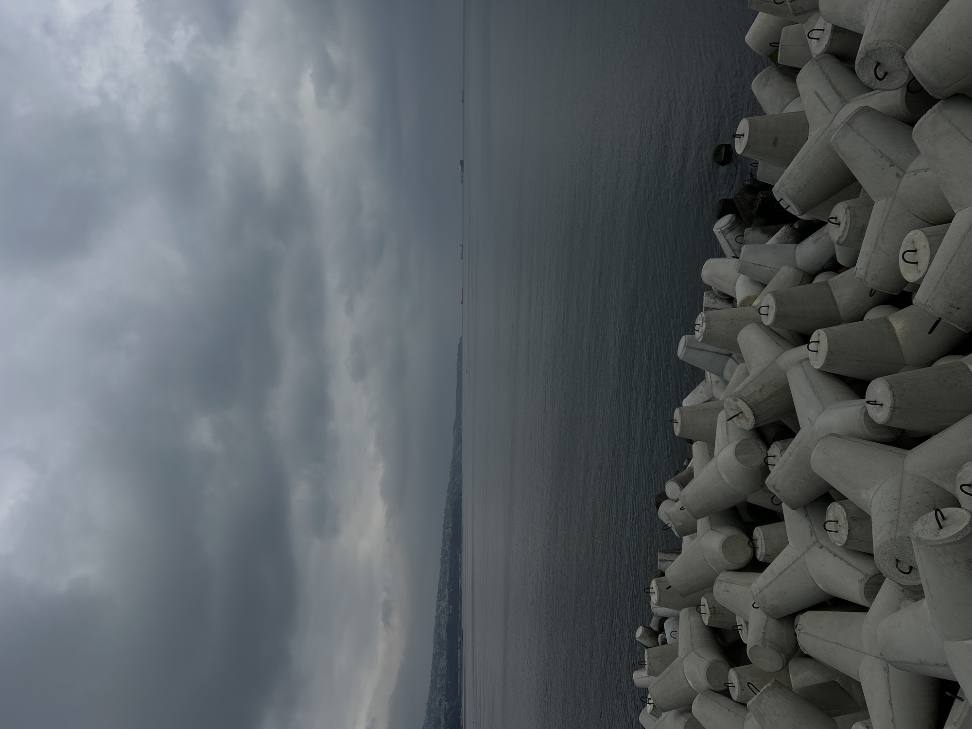 A long shot shows concrete tetrapods on a coastal area of an unknown city. The weather is cloudy. The sea and sky are grey and the tetrapods are a dull white. The tetrapods are piled against each other in random orientations. The coast can be seen across the water, in the distance.