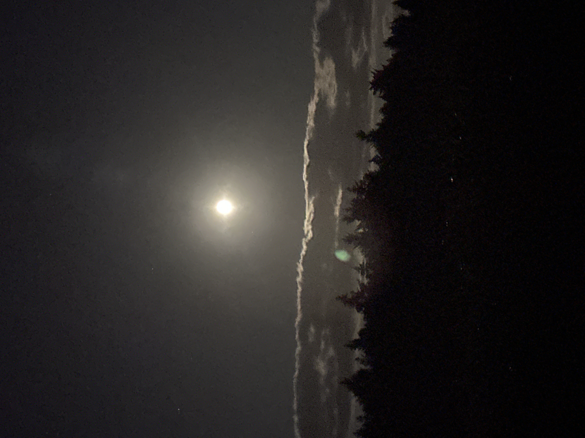The image depicts a nighttime scene with a bright full moon positioned in the upper center of the frame. Below the moon, a horizontal band of clouds is visible, illuminated by the moonlight. The lower portion of the image is dominated by the dark silhouette of a dense forest, with the tops of numerous evergreen trees forming a jagged skyline against the sky. The overall impression is one of a natural landscape at night. This scene is located in Krautscheid, Germany.