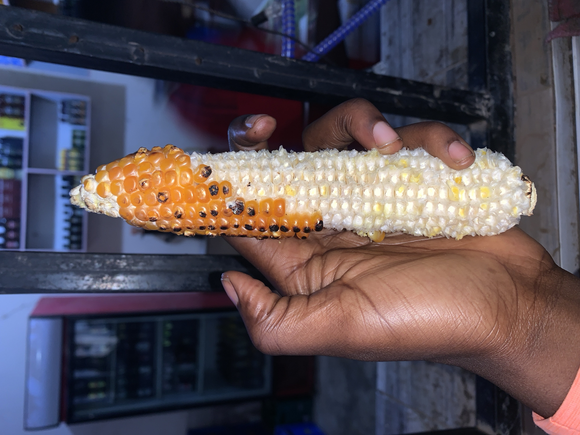 A close-up captures a person holding an ear of corn. The left portion of the corn is orange, with darkened kernels, suggesting grilling or roasting. The remaining portion of the corn appears raw and white. The person's dark skin is visible on their hand, with clear details of texture and lines. The background shows the blurred interior of a store, with shelves and a refrigerator-like display case. Based on the image prompt, the location is Kabong, Nigeria.