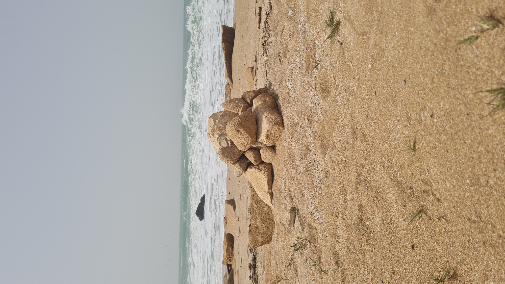 A vertically oriented eye-level shot captures a coastal scene, composed of a sandy beach, a pile of rocks, and a body of water. The sand is a light tan color, intermixed with shell fragments, and sparsely populated with green blades of grass. A cluster of tan-colored rocks, varying in size, sits close to the water's edge. Adjacent to the rocks, waves crash onto the shore. The water transitions from a foamy white near the beach to a light green further out. The sky is a pale, flat grey, suggesting an overcast day. A dark object, likely a rock or debris, floats in the water.