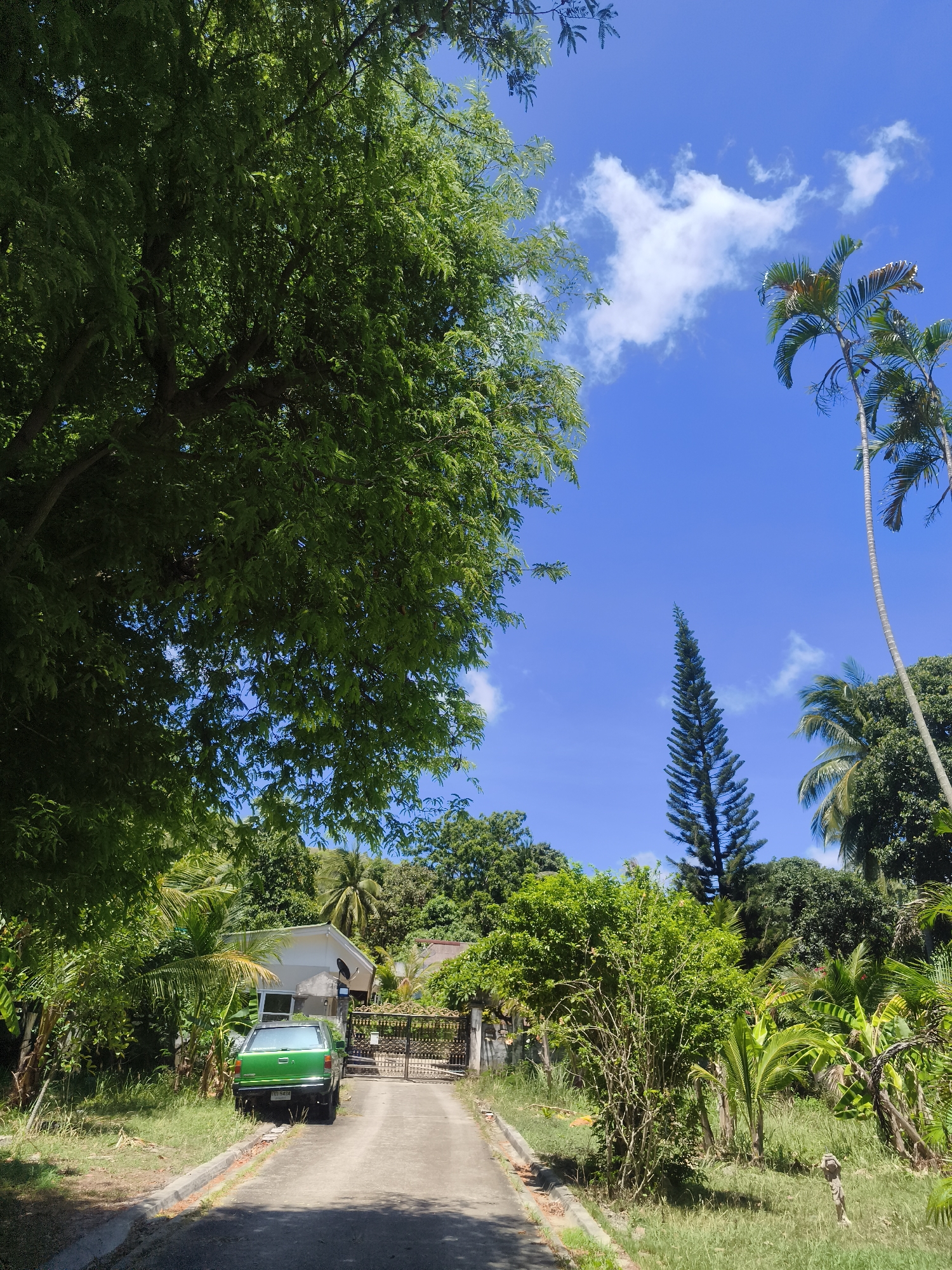 Baan Bo Phut, Thailand. A residential area. A paved driveway extends towards a gated property. A green car is parked on the left side of the driveway, just outside the gate. The gate is dark and ornate, set into a low concrete fence. Behind the gate is a single-story house with a white exterior. Dense tropical vegetation surrounds the property. Tall trees frame the upper portion of the image against a bright blue sky with scattered white clouds. Two tall palm trees are on the right side. A tall, conical tree stands in the center, behind the vegetation.