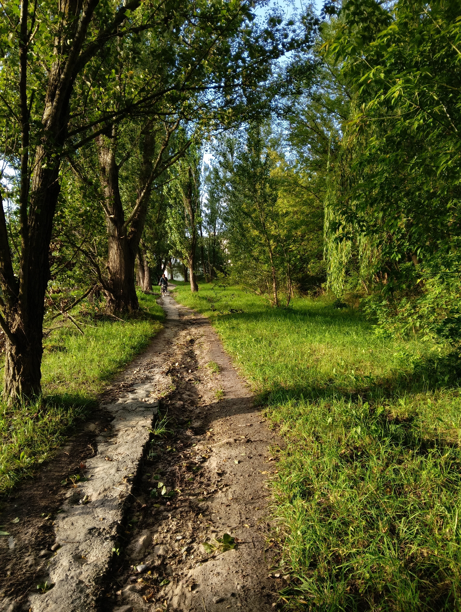 The image shows a dirt path winding through a park-like setting with tall trees and lush green grass. The path is uneven and shows signs of wear, with exposed stones and patches of mud. Sunlight filters through the dense foliage, creating dappled shadows on the ground. In the distance, a person is riding a bicycle along the path, heading away from the camera. The overall scene suggests a natural, serene environment within an urban area. The location is identified as a park in Hrodna, Belarus.